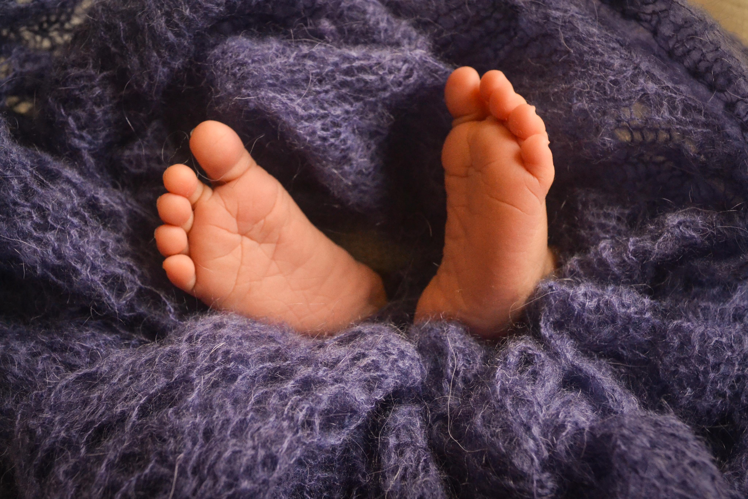 Йонатан newborn. Photograper Israel/фотограф Израиль. ALINA TARAN