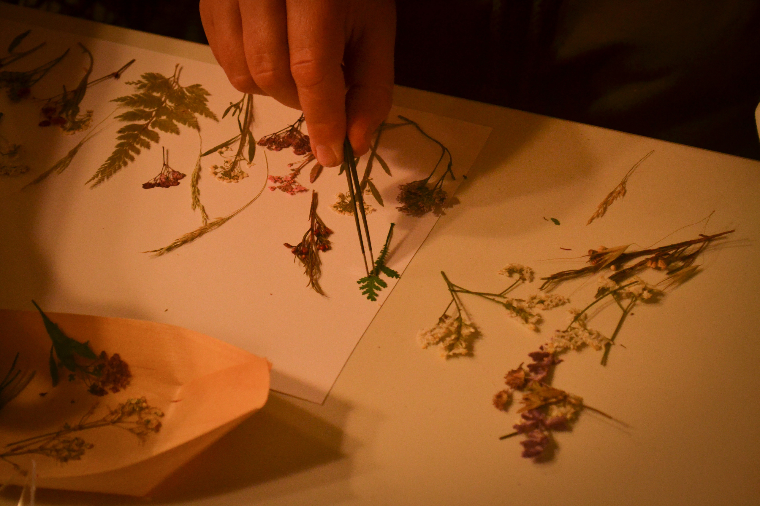 Мастер-класс. Photograper Israel/фотограф Израиль. ALINA TARAN