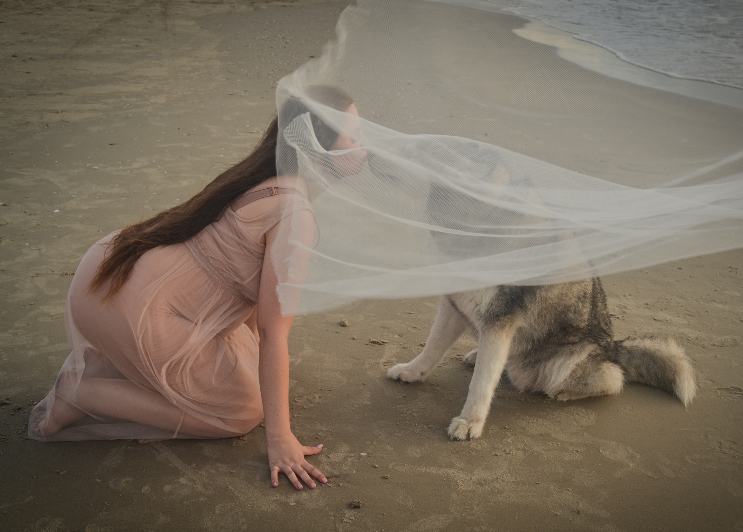 В ожидании Марина. Photograper Israel/фотограф Израиль. ALINA TARAN