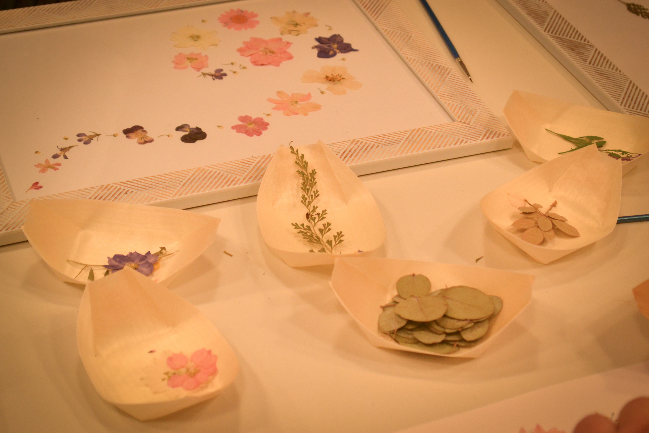 Мастер-класс. Photograper Israel/фотограф Израиль. ALINA TARAN