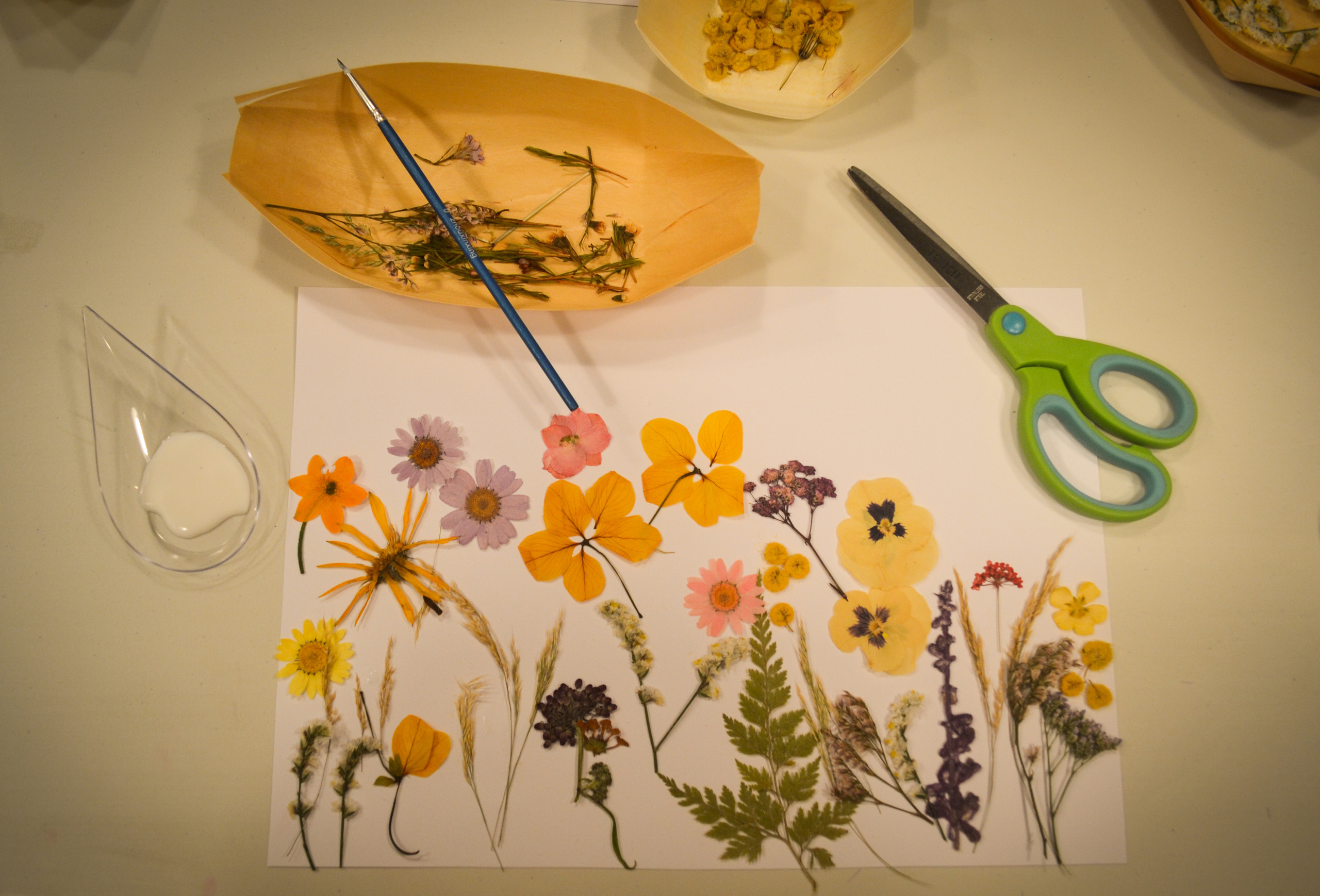 Мастер-класс. Photograper Israel/фотограф Израиль. ALINA TARAN