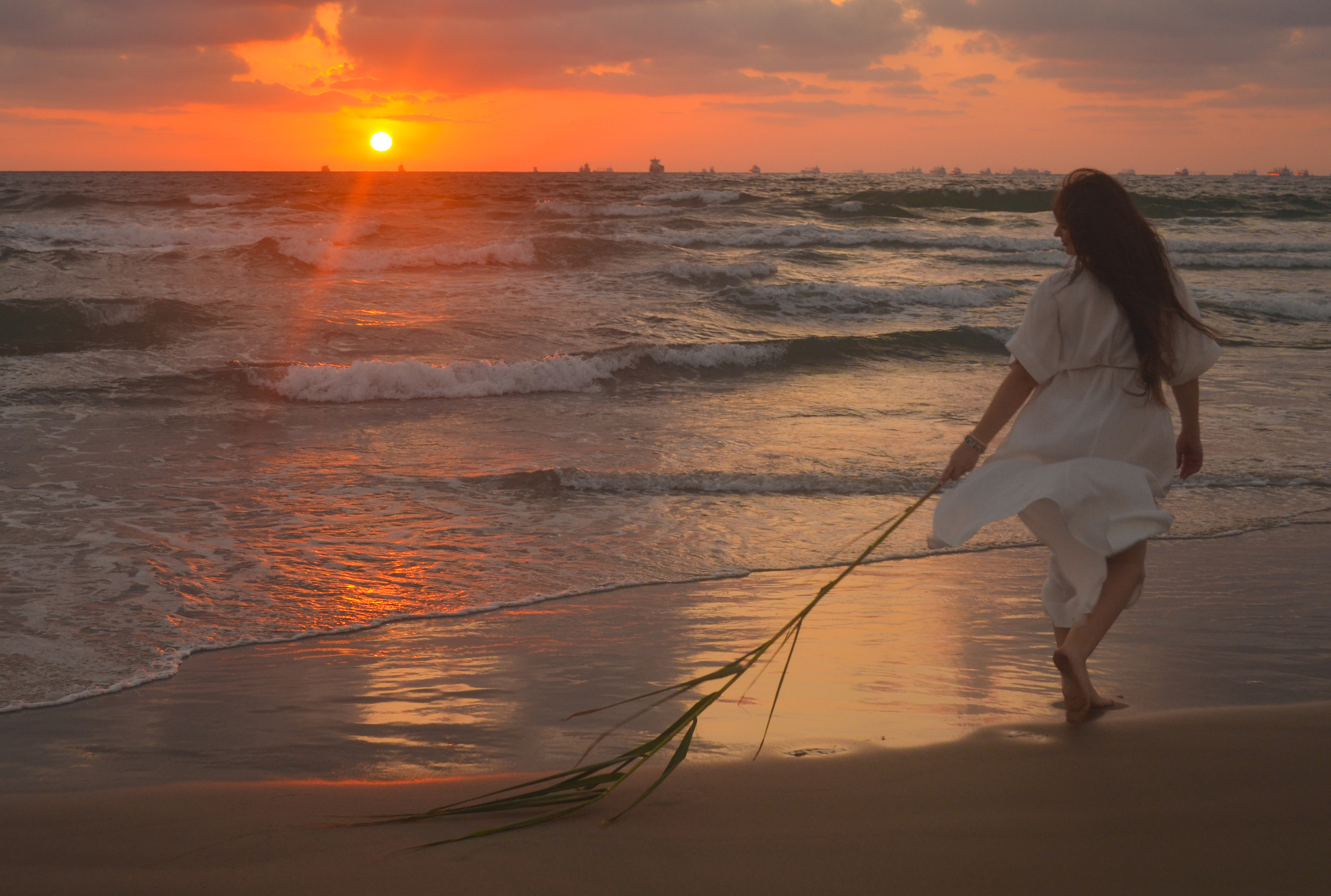 В ожидании Марина. Photograper Israel/фотограф Израиль. ALINA TARAN