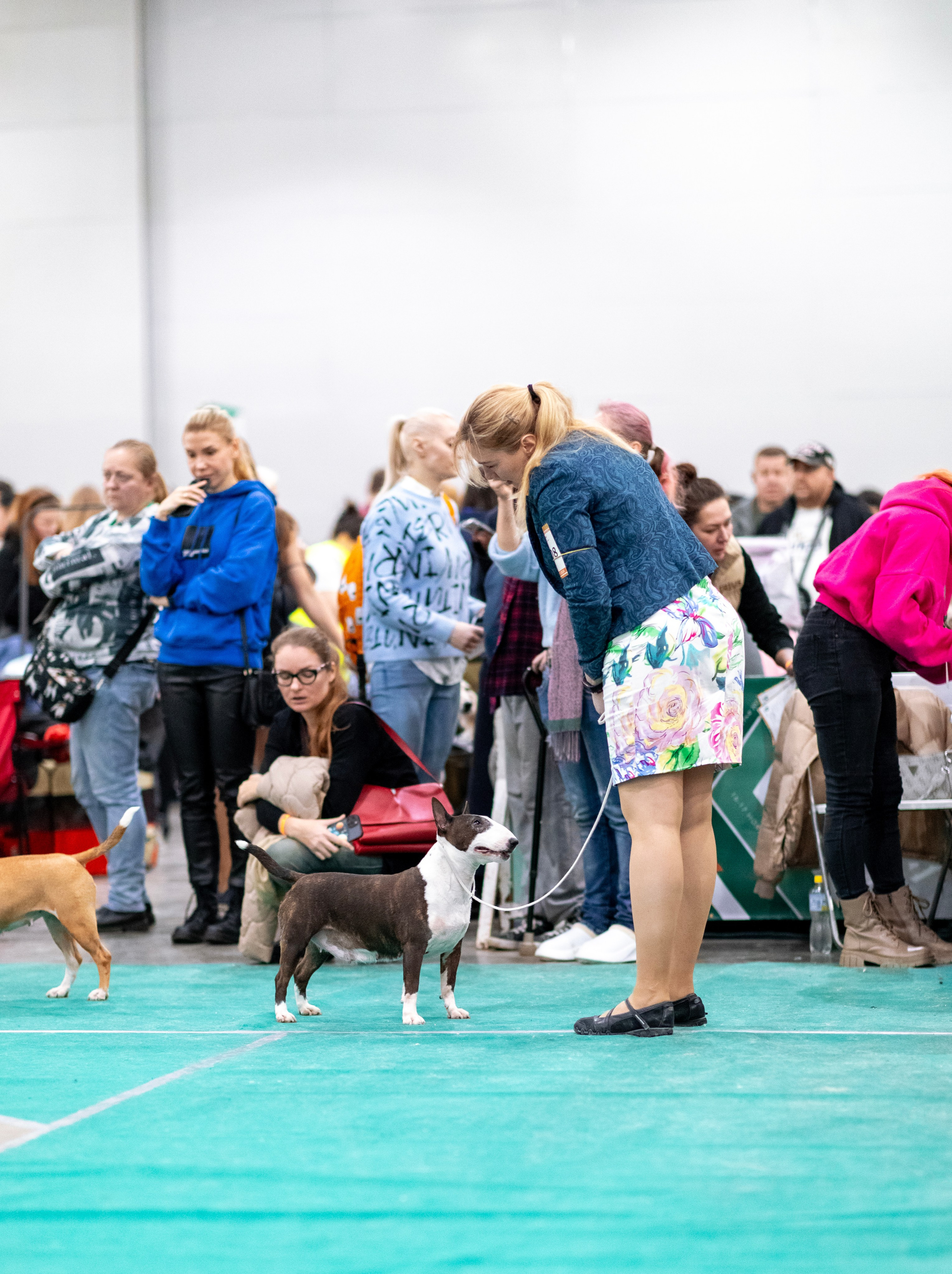 Евразия. Фотограф — анималист Татьяна Ли