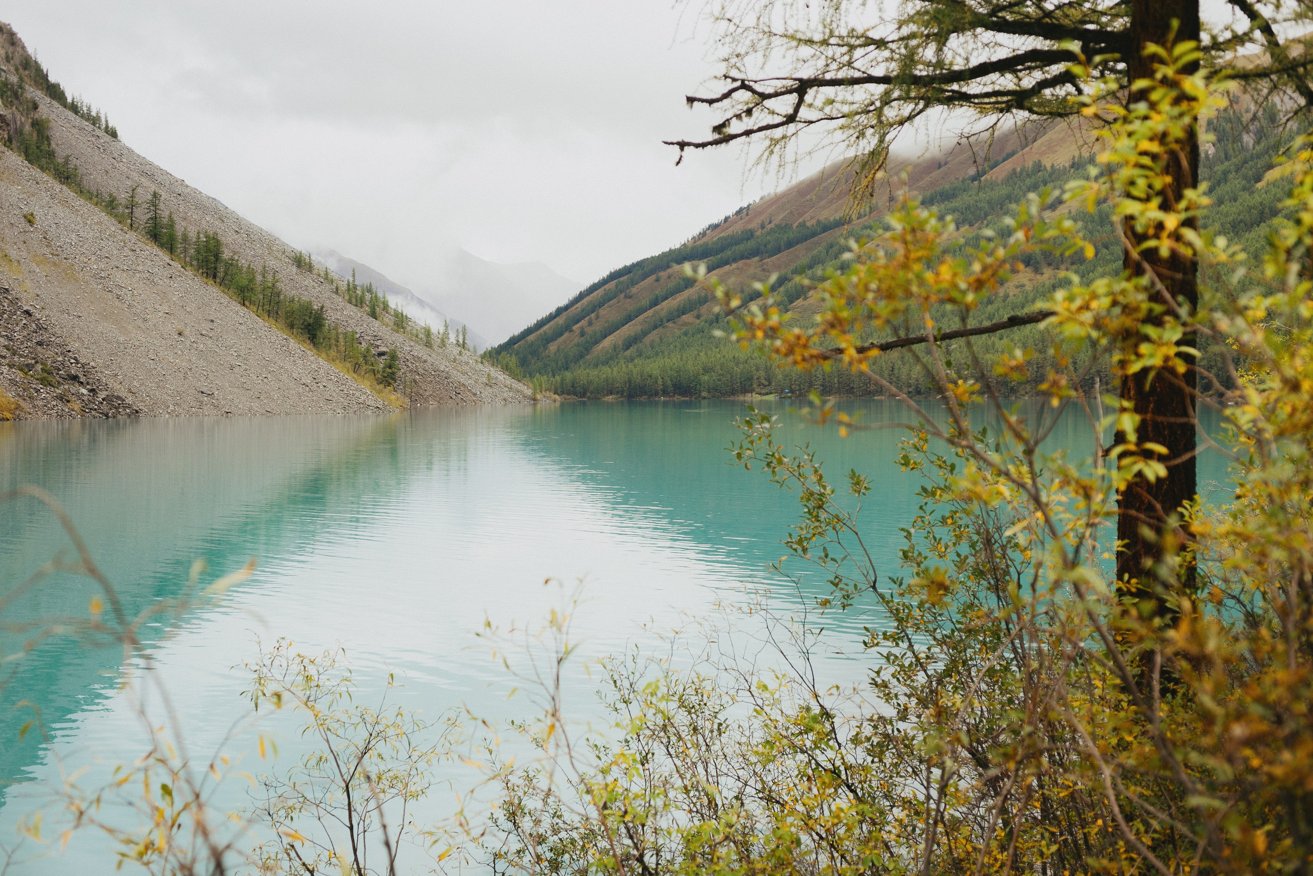 Шавлинские. Главная