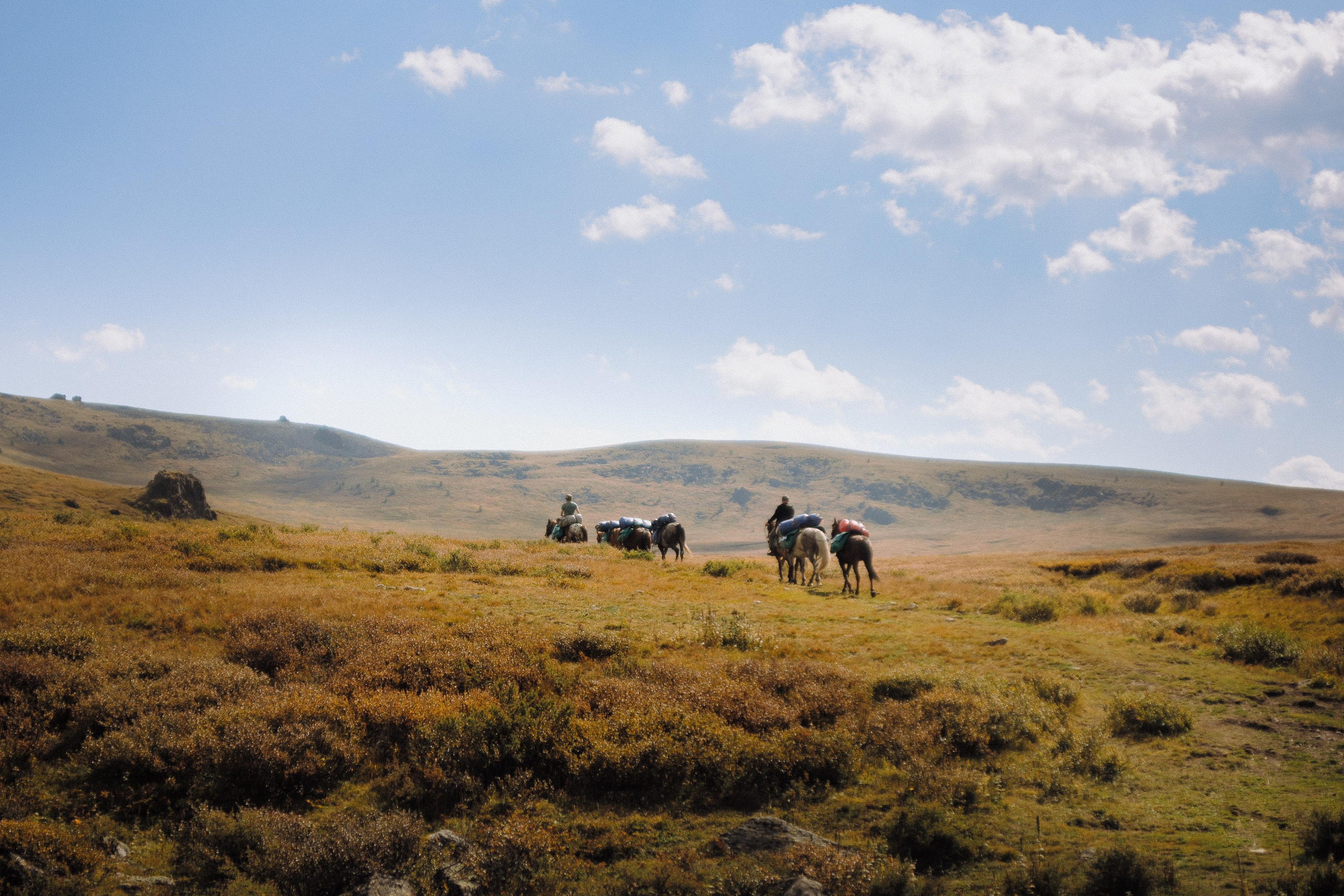 Шавлинские. Главная