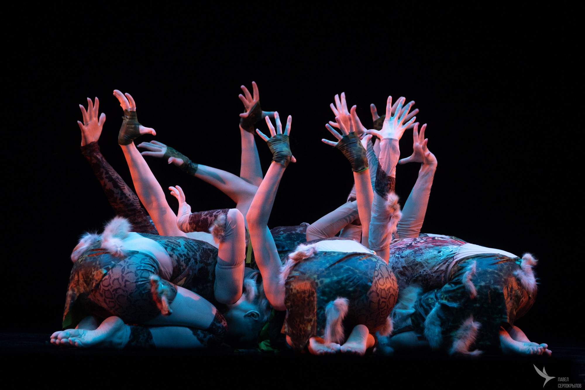 ПАНТЕРА 2024. Репортажный фотограф в Казани Павел Серпокрылов