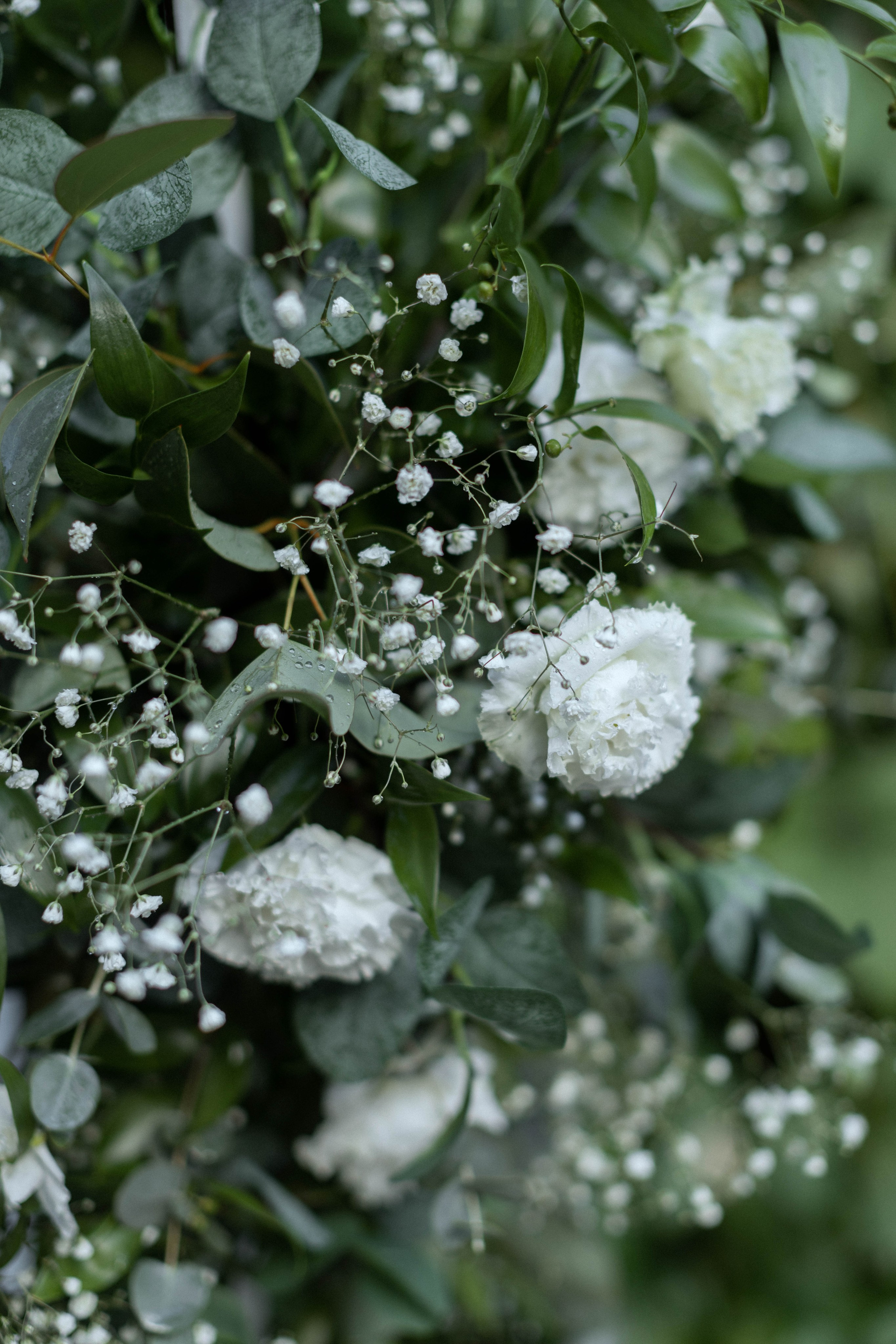 Серёжа | Даша (г. Киров)