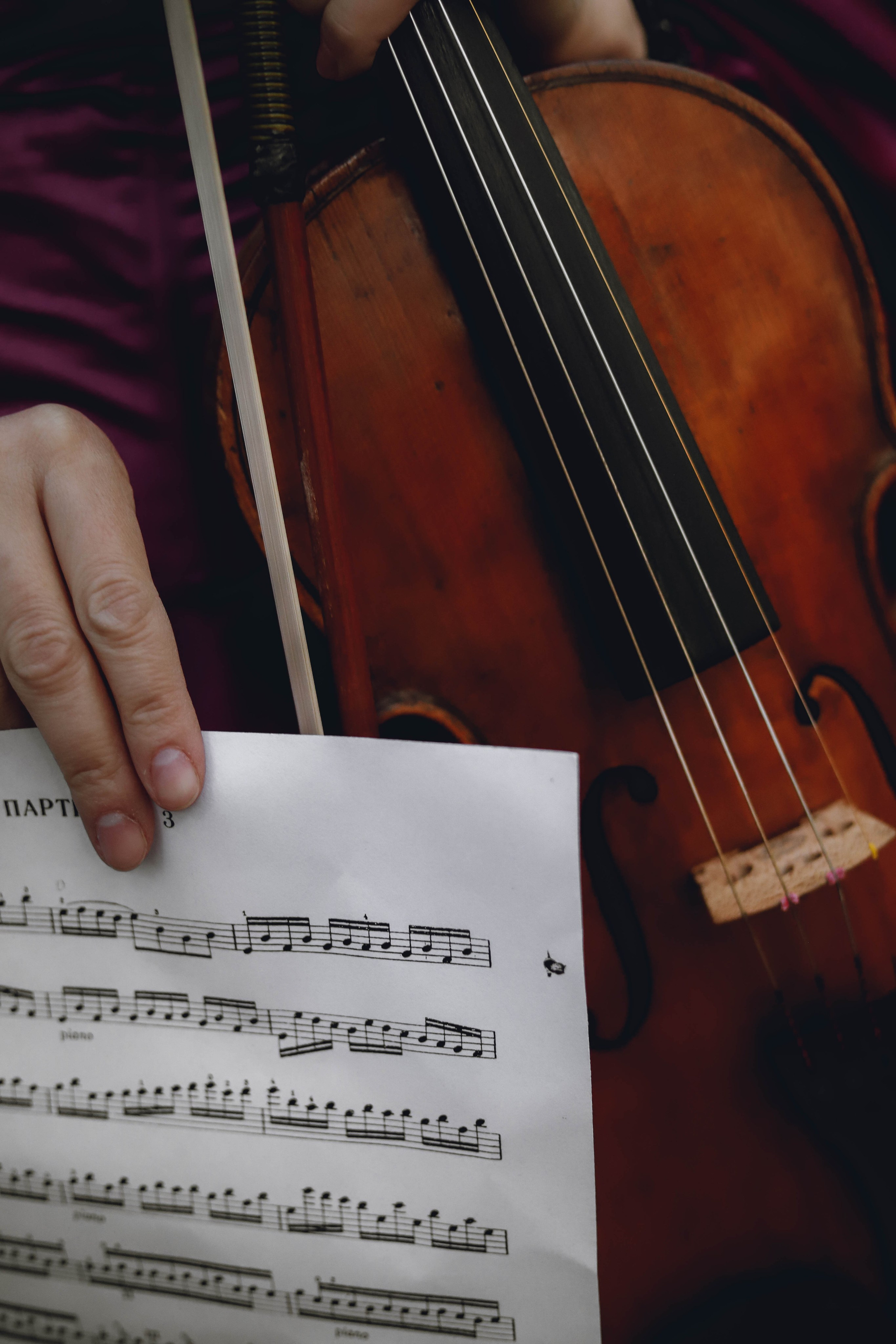 Скрипка. Фотограф в Сургуте Брызгунова Анастасия