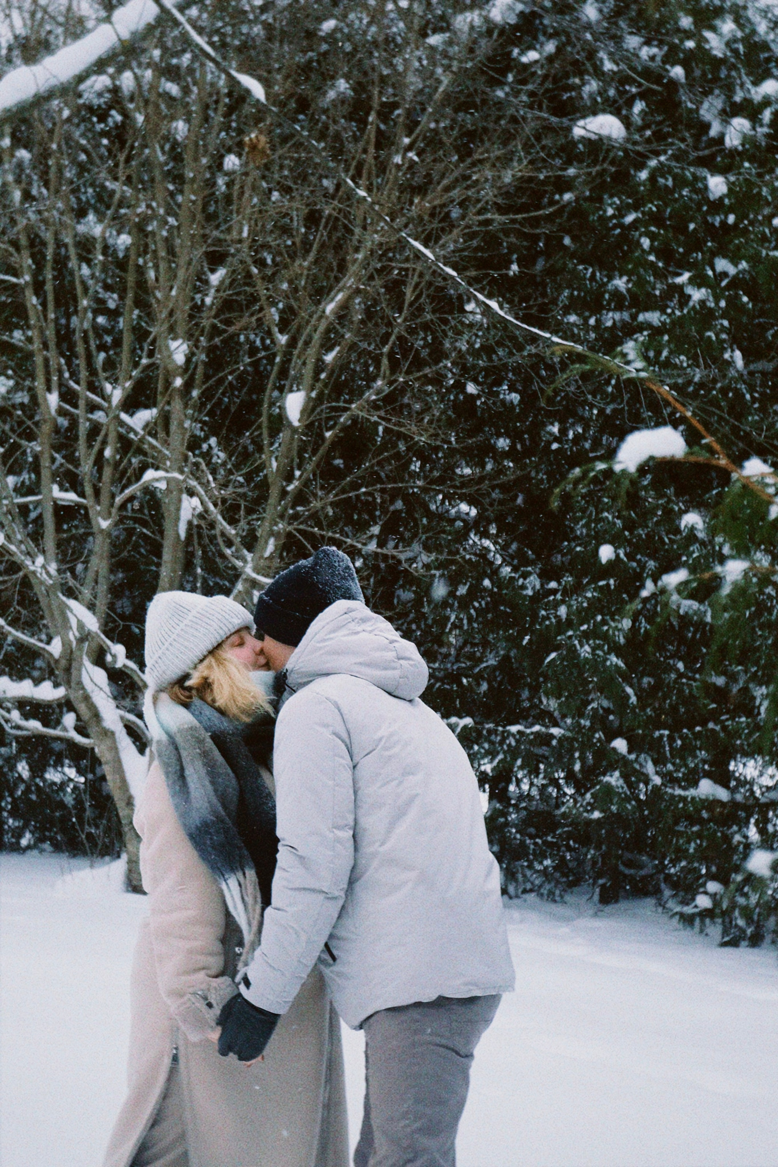 1+1. Татьян гертье