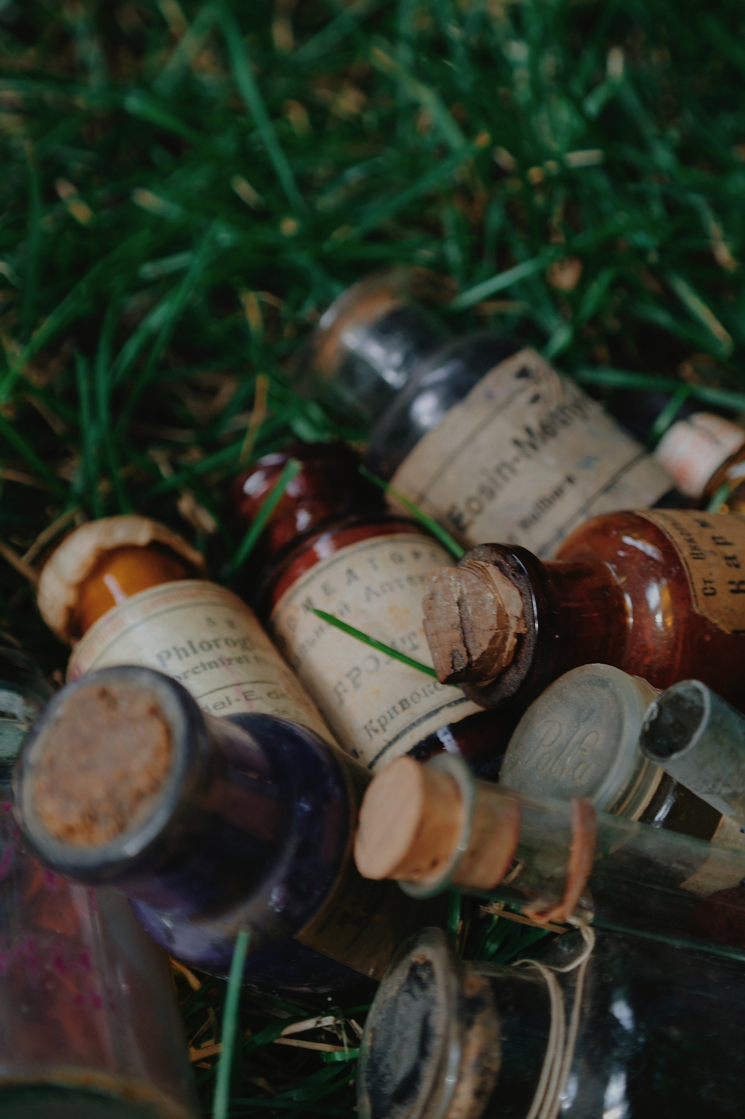 Переделкино. Татьян гертье