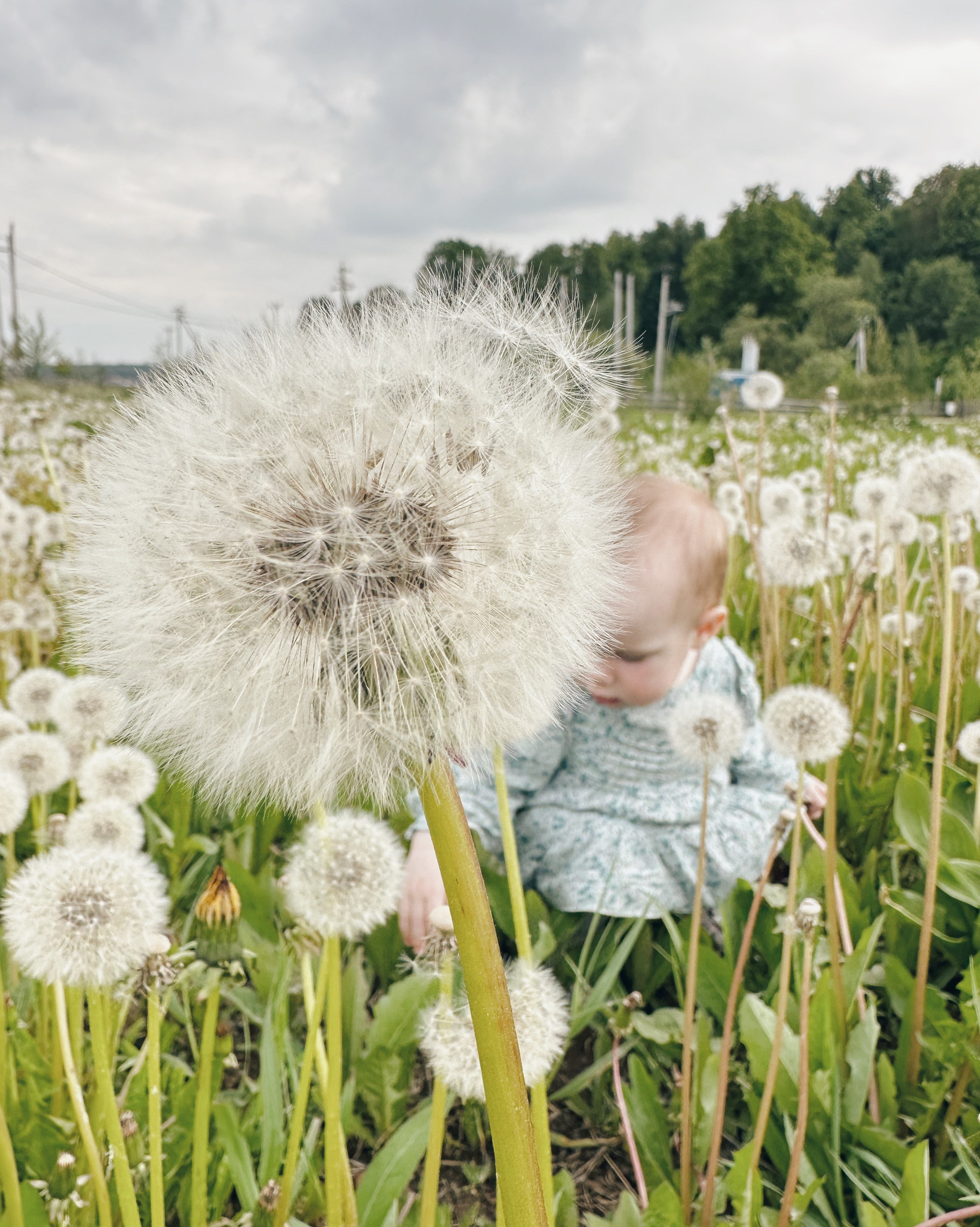Дети. Семейный фотограф и видеограф. Москва
