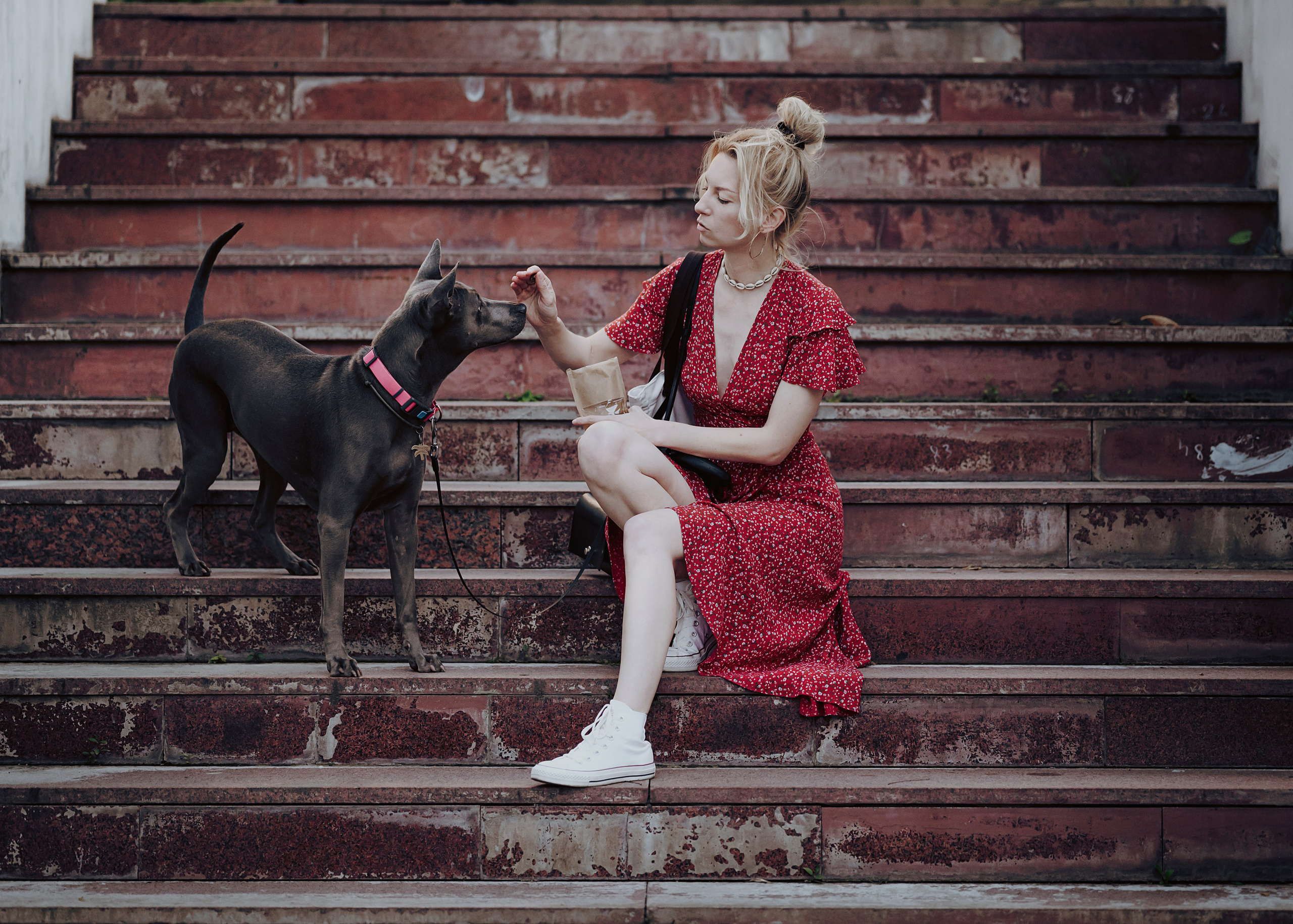 Шарма. Фотограф- анималист Александра Матвеева