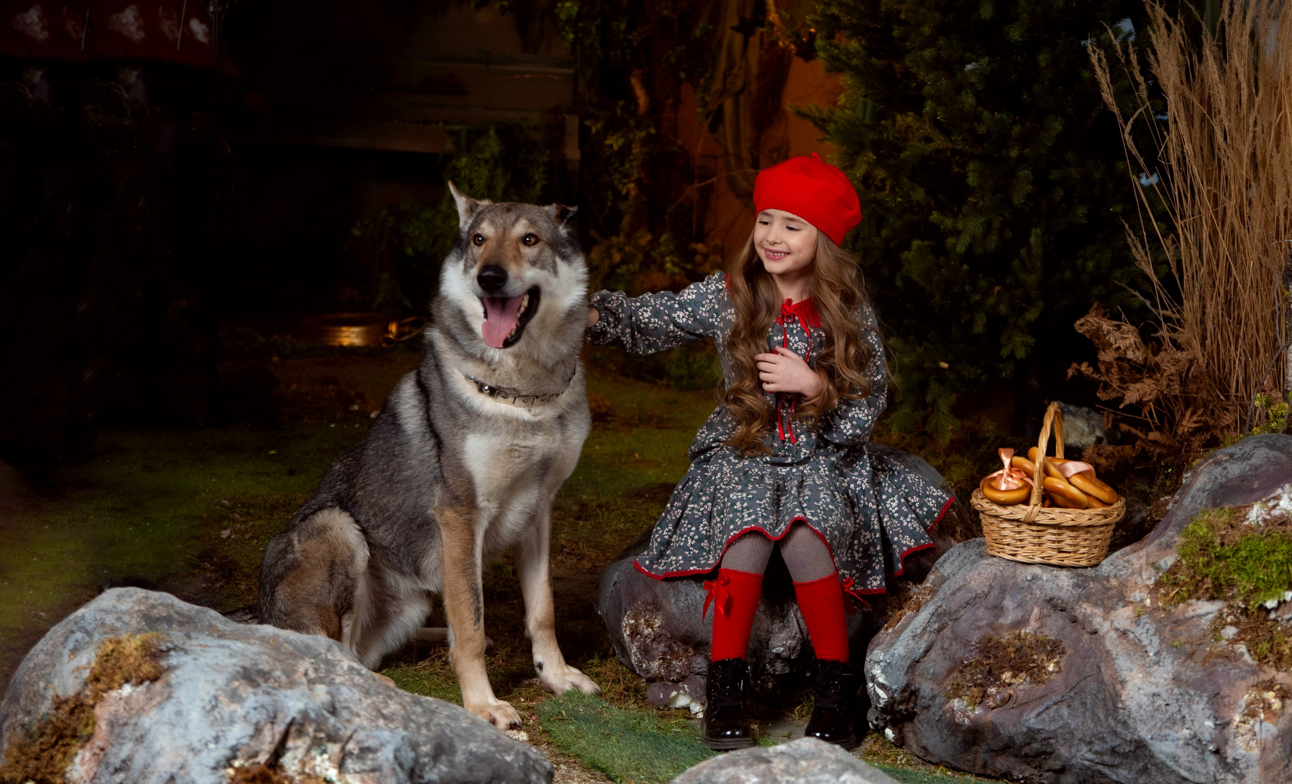 Съёмка с животными