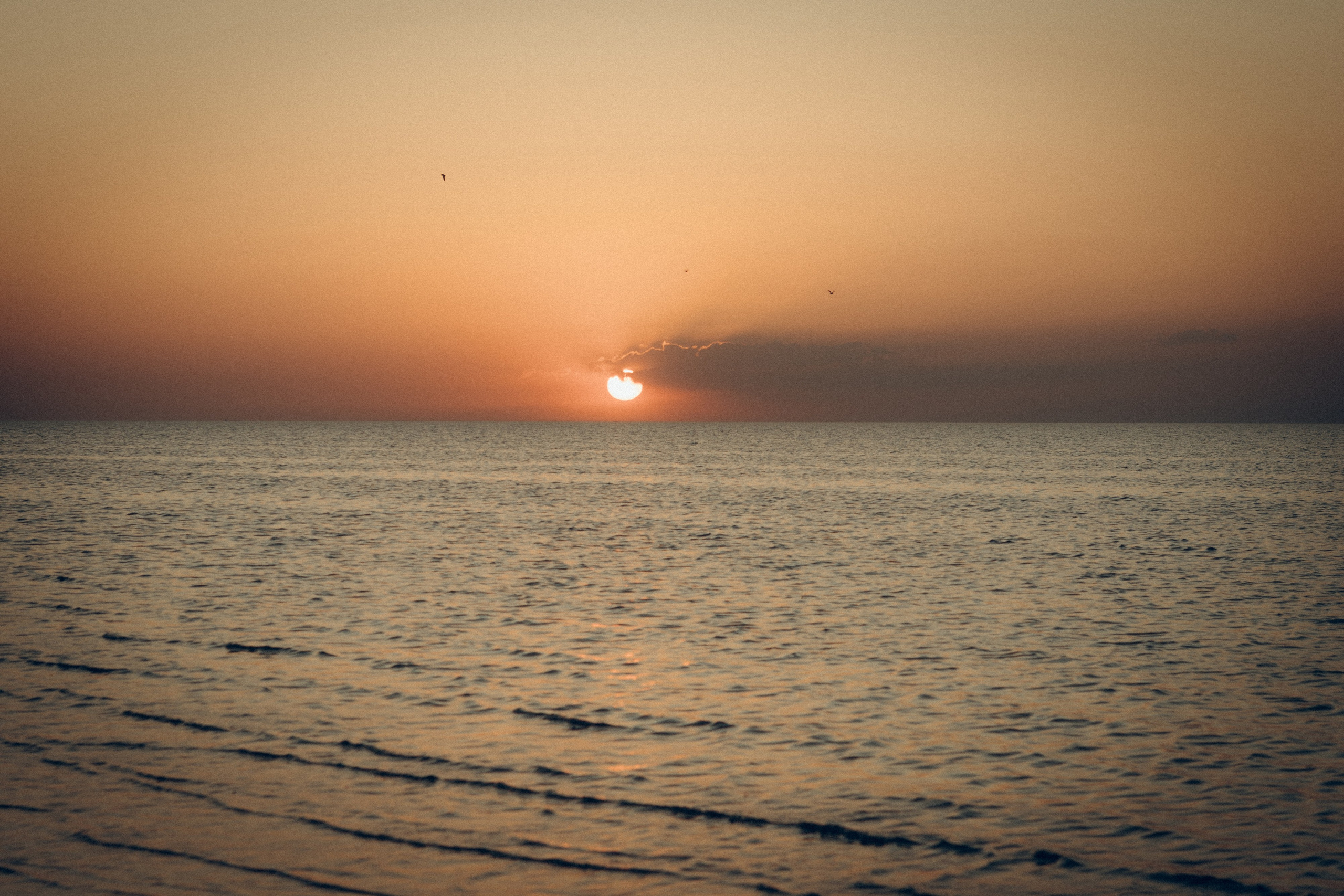 Денис & Юля. Семейный фотограф и фотограф на роды в Ростове-на-Дону Мухина Виктория