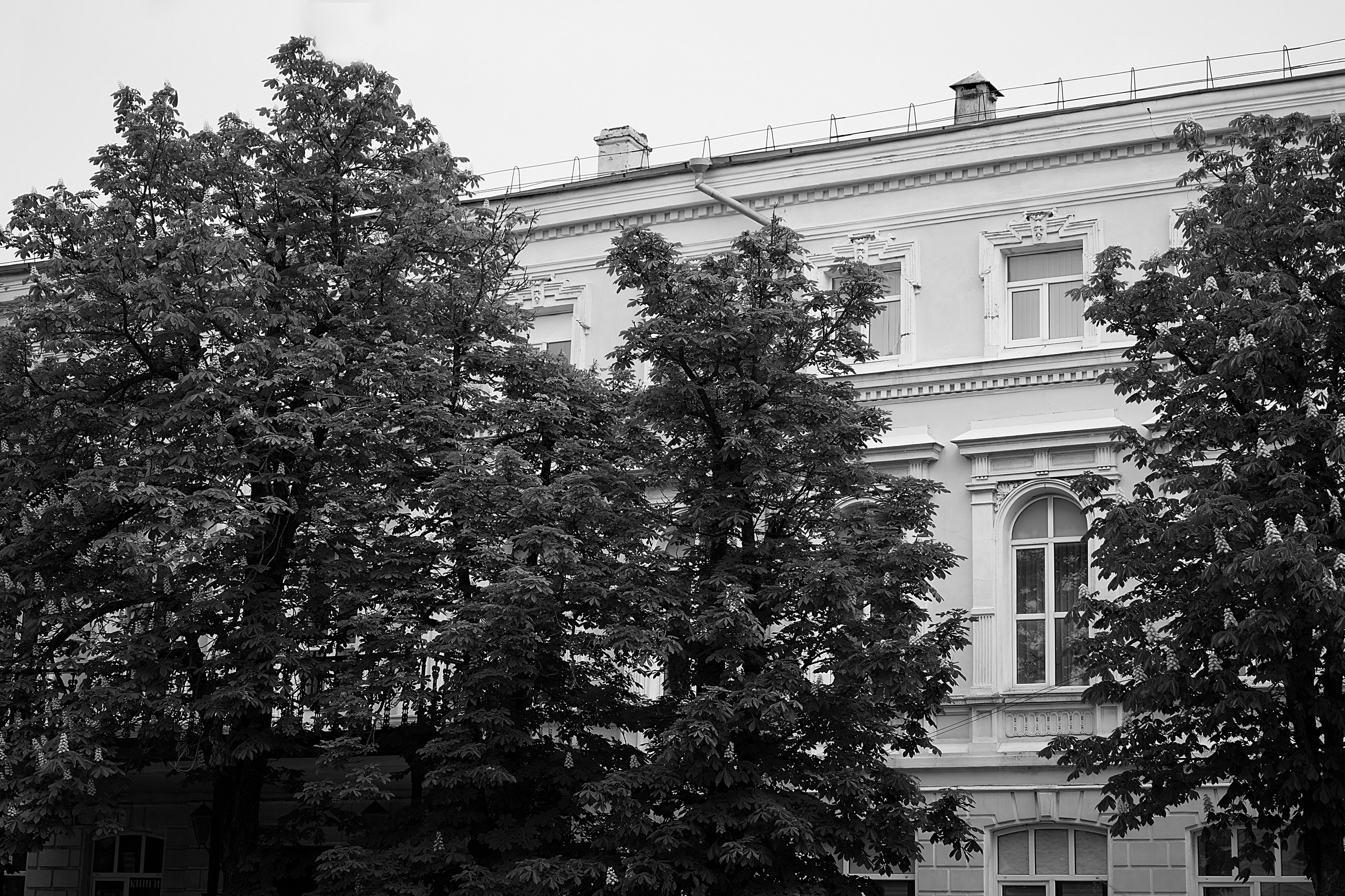 Руслан и Анна. Чумаков Алексей Фотограф|Видеограф свадебные, индивидуальные, семейные, репортаж