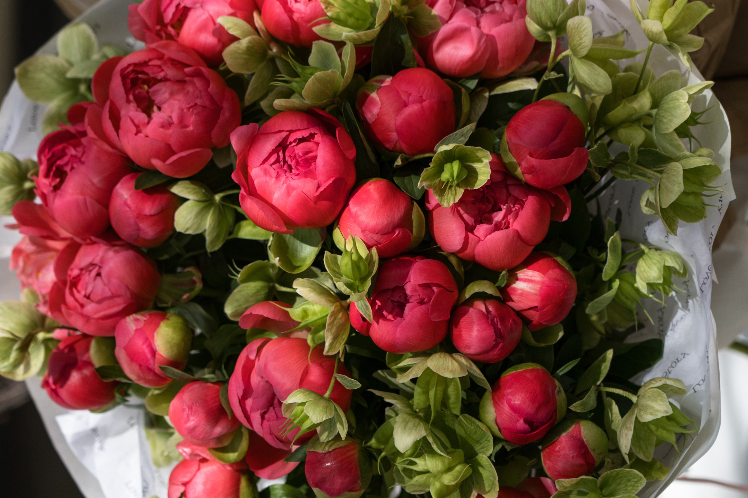 Видеосъемка контента для соцсетей в Барнауле. Фотограф для бизнеса, маркетплейсов, контента и соцсетей в Барнауле Савинкова Виктория