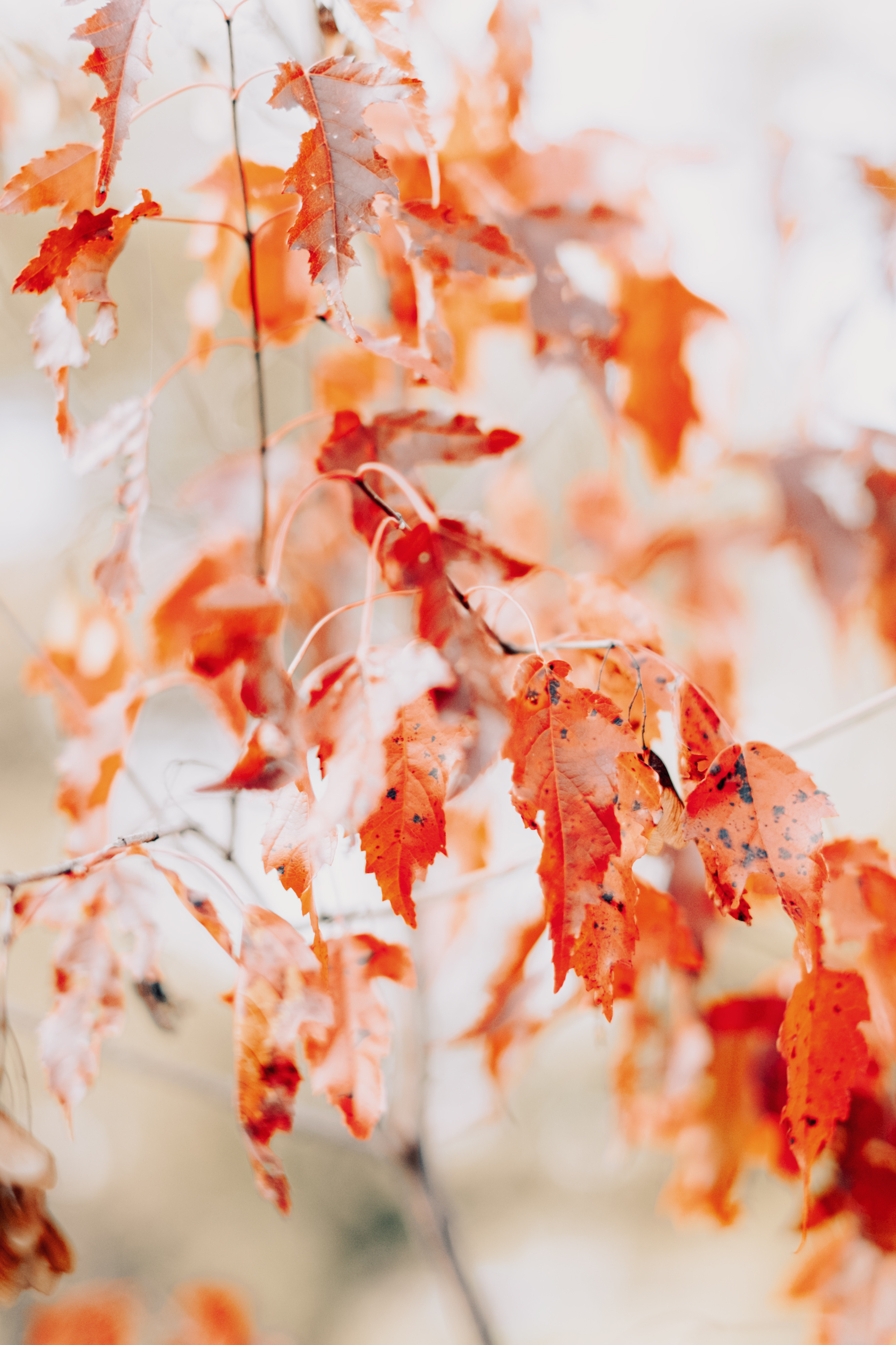 Женя. Созвездие. Фотограф Хабаровск| Яна Золотова LifeStyle портрет, в ожидании, пары,