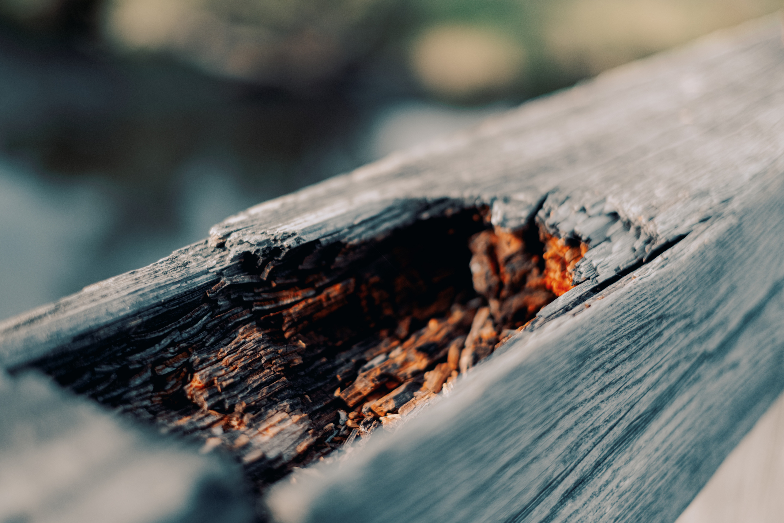 Женя. Созвездие. Фотограф Хабаровск| Яна Золотова LifeStyle портрет, в ожидании, пары,