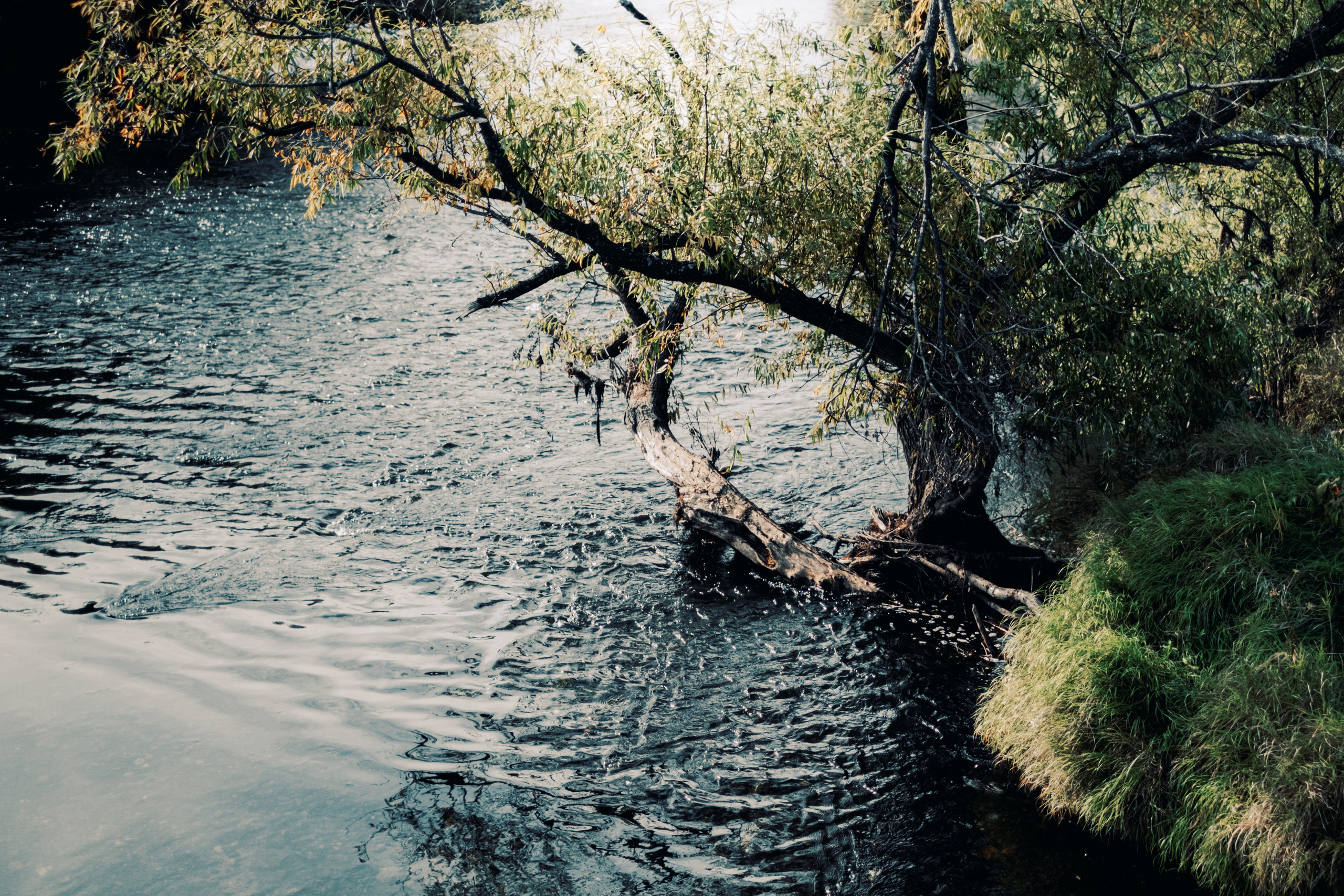 Женя. Созвездие. Фотограф Хабаровск| Яна Золотова LifeStyle портрет, в ожидании, пары,