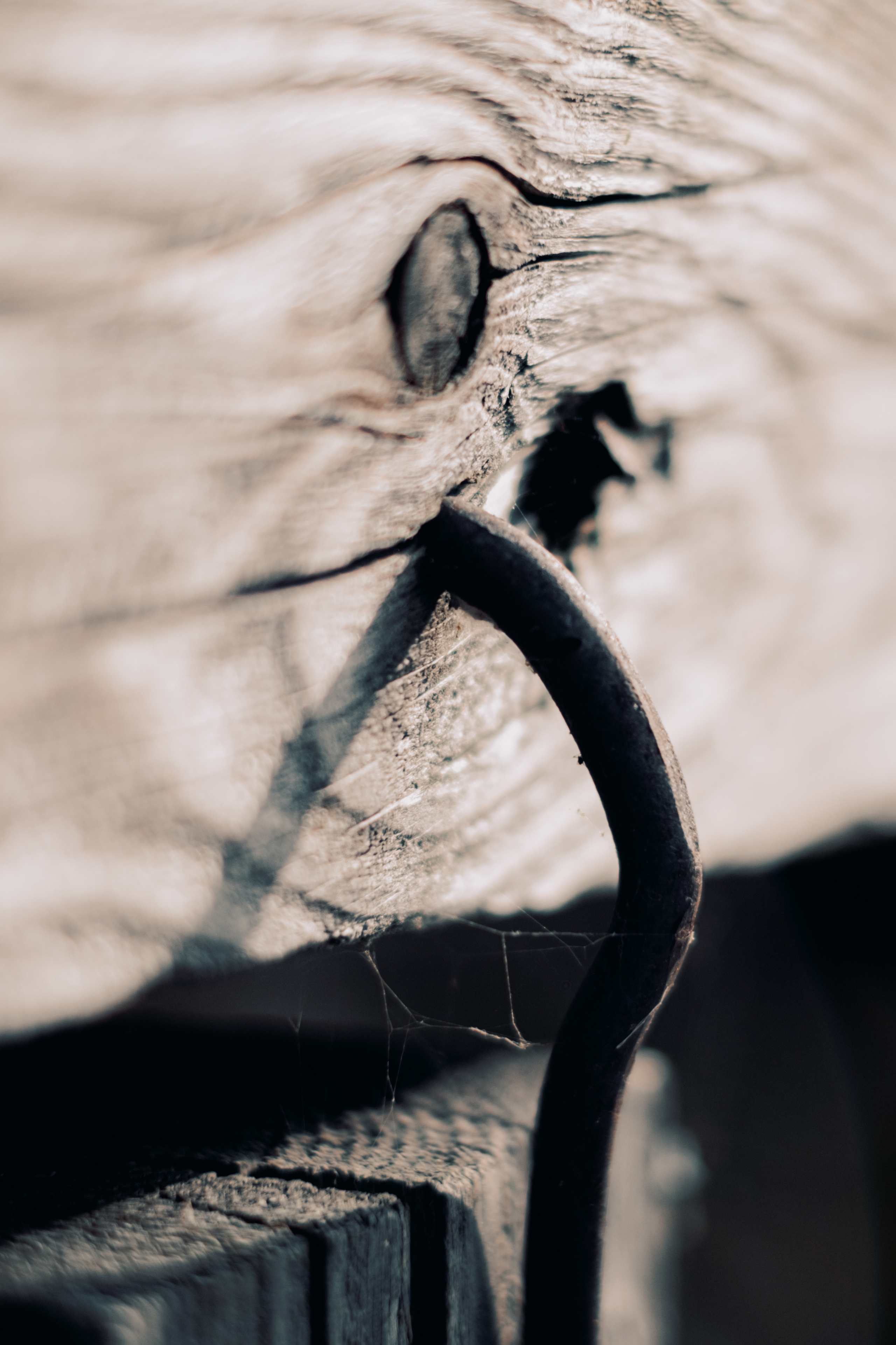 Женя. Созвездие. Фотограф Хабаровск| Яна Золотова LifeStyle портрет, в ожидании, пары,