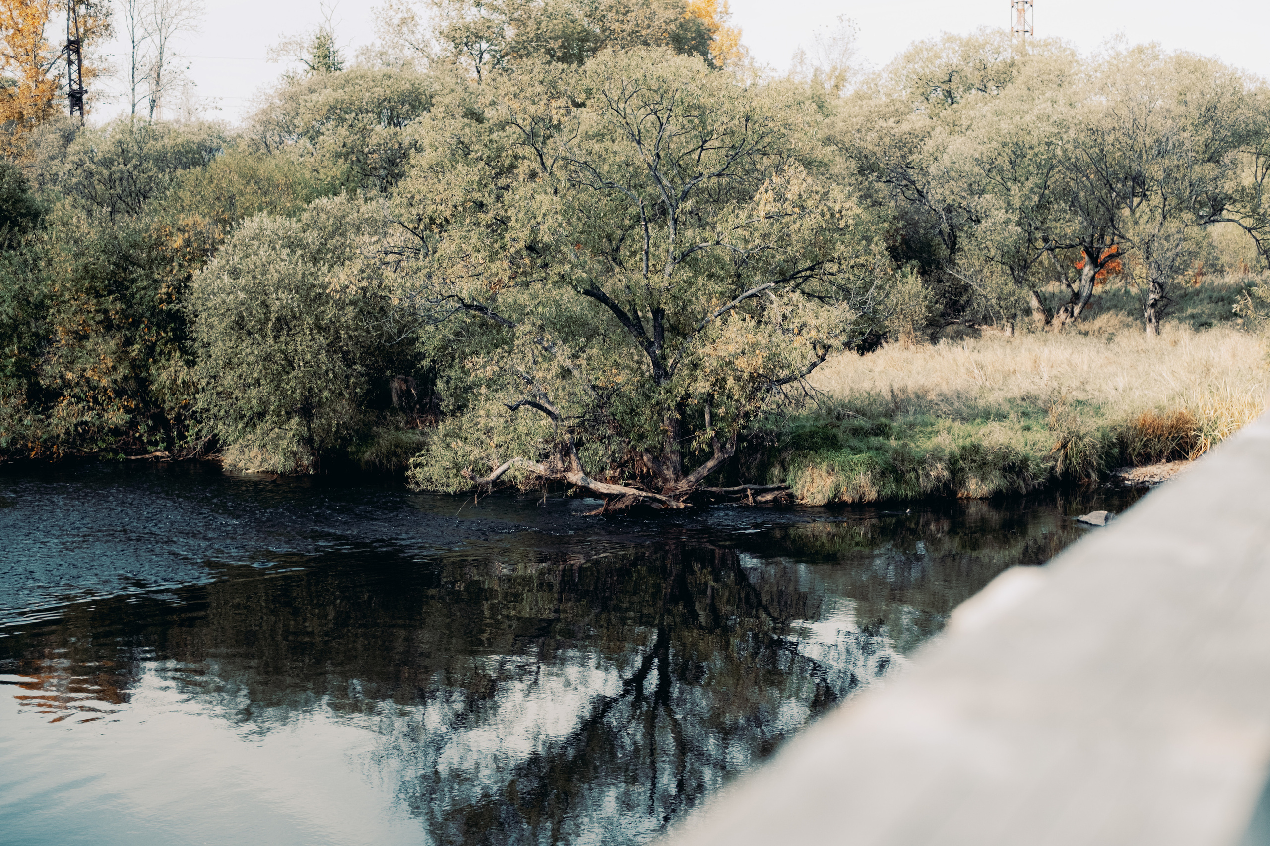 Женя. Созвездие. Фотограф Хабаровск| Яна Золотова LifeStyle портрет, в ожидании, пары,