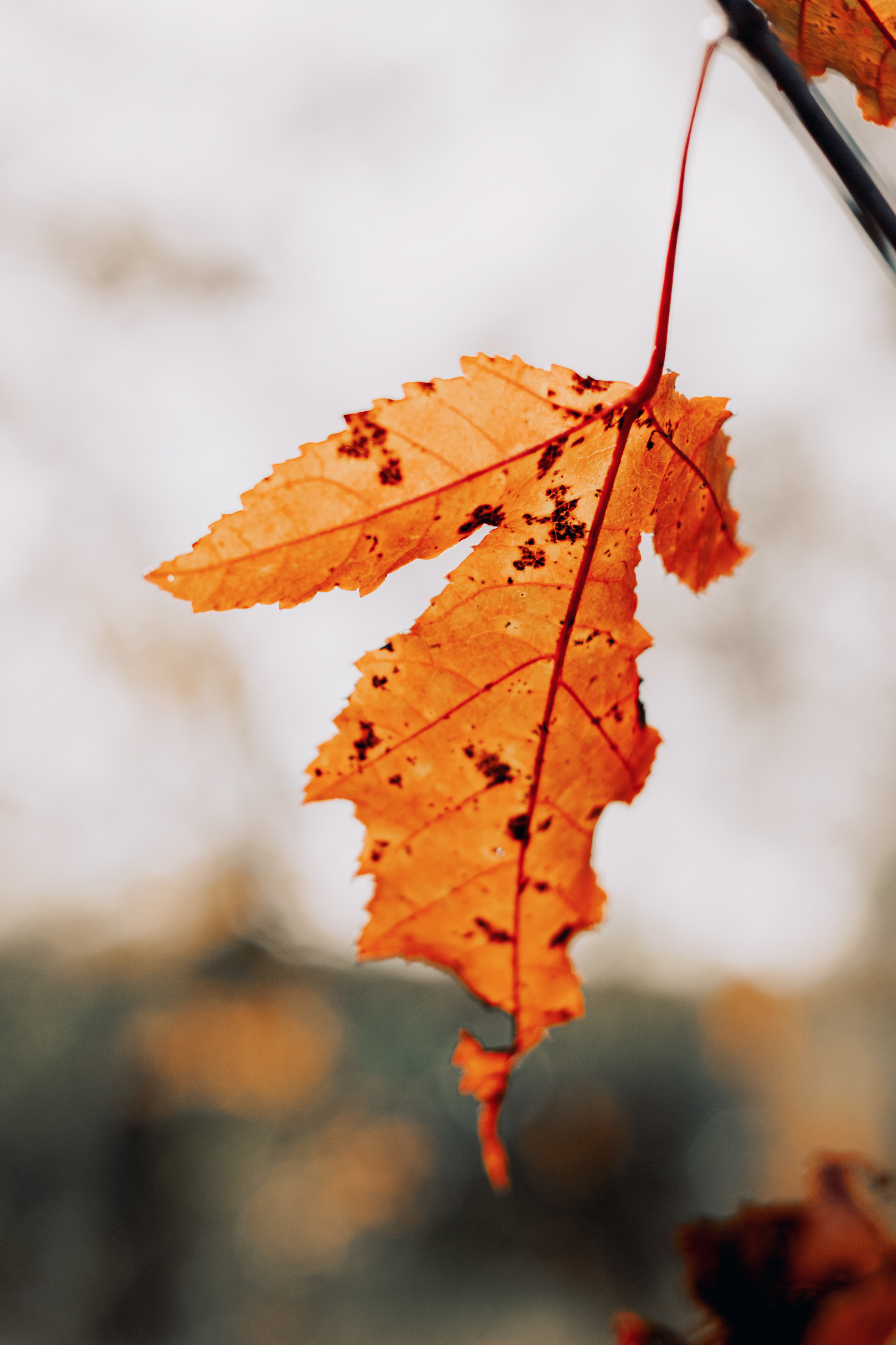 Женя. Созвездие. Фотограф Хабаровск| Яна Золотова LifeStyle портрет, в ожидании, пары,