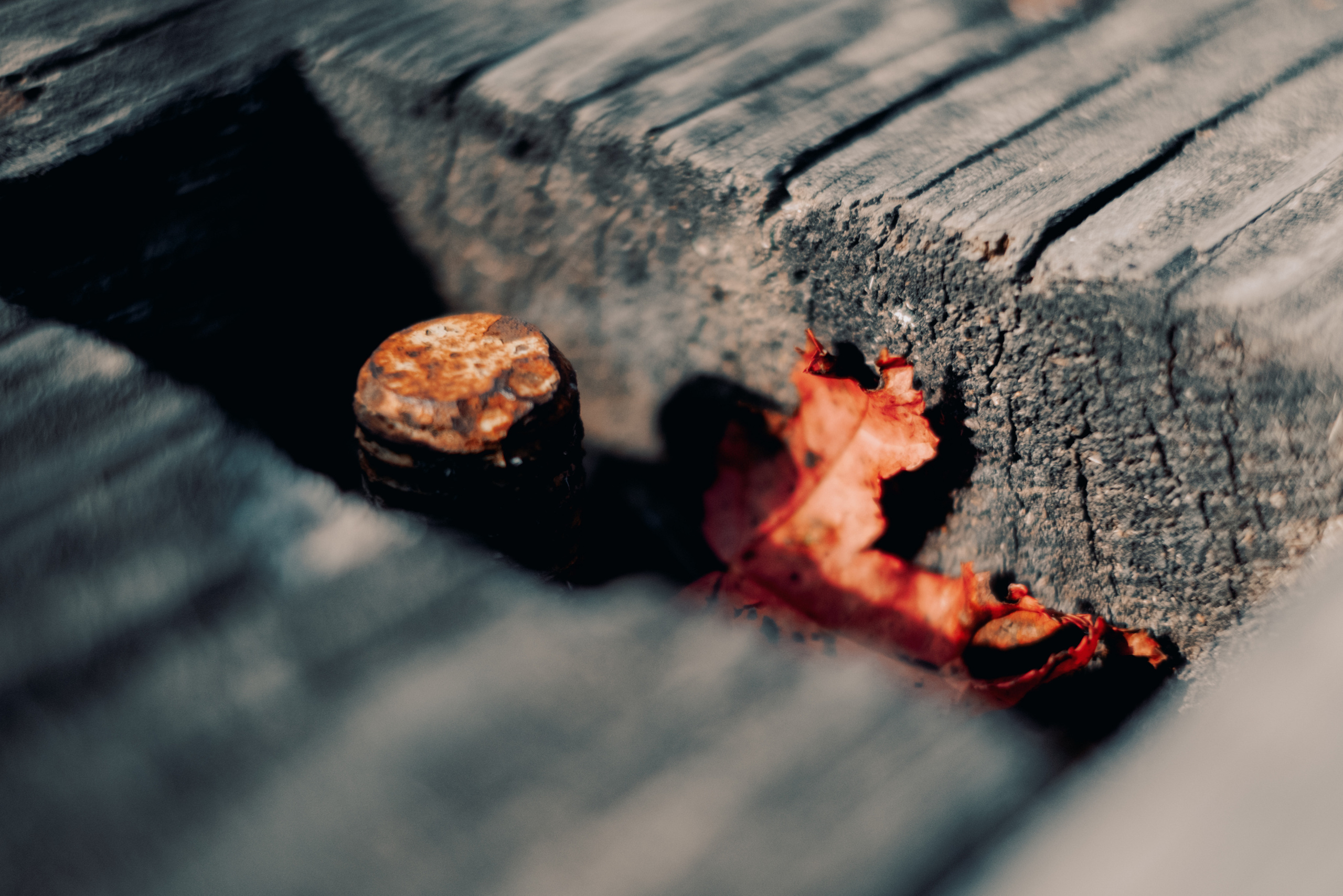 Женя. Созвездие. Фотограф Хабаровск| Яна Золотова LifeStyle портрет, в ожидании, пары,