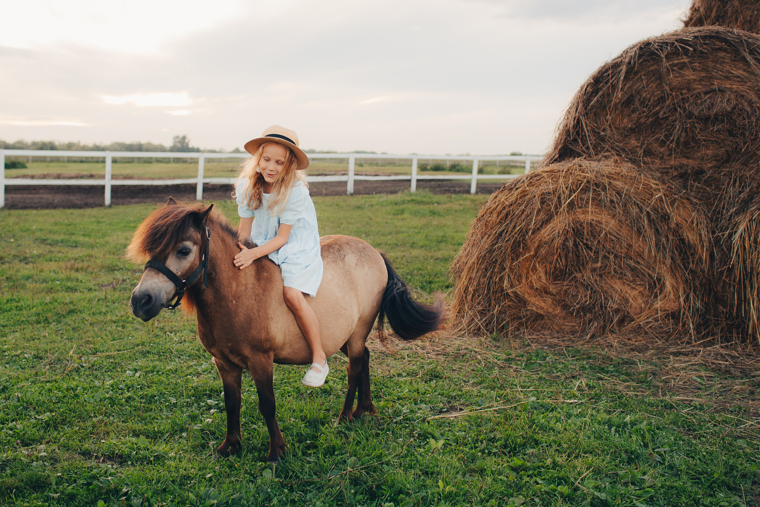 Фотосессия с пони. Фотограф Евгения Мальцева, Архангельск