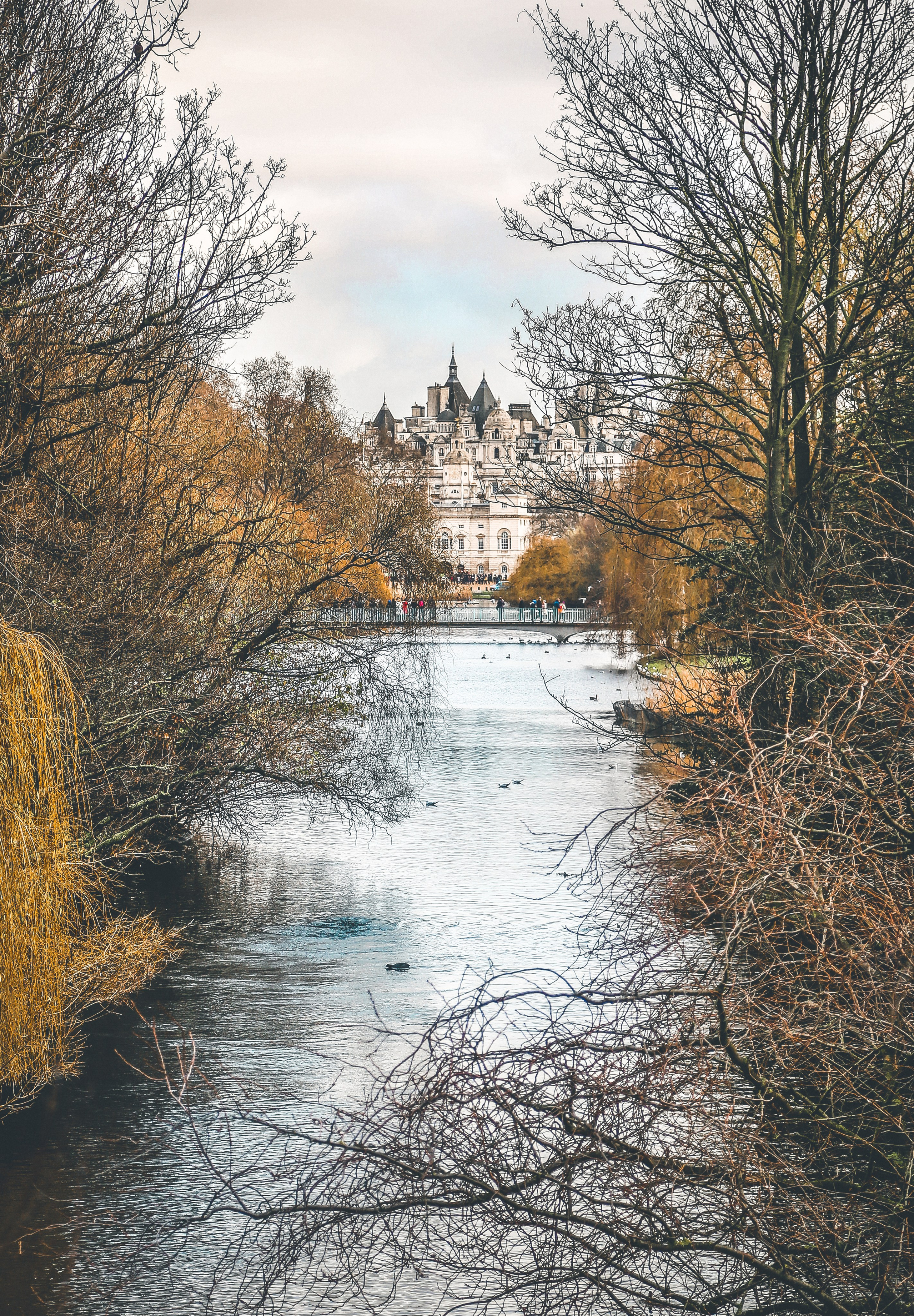 Англия: Лондон цветущий. Дарья Письменюк / Darya Leitstern — фотограф, музыкант, журналист, путешественник