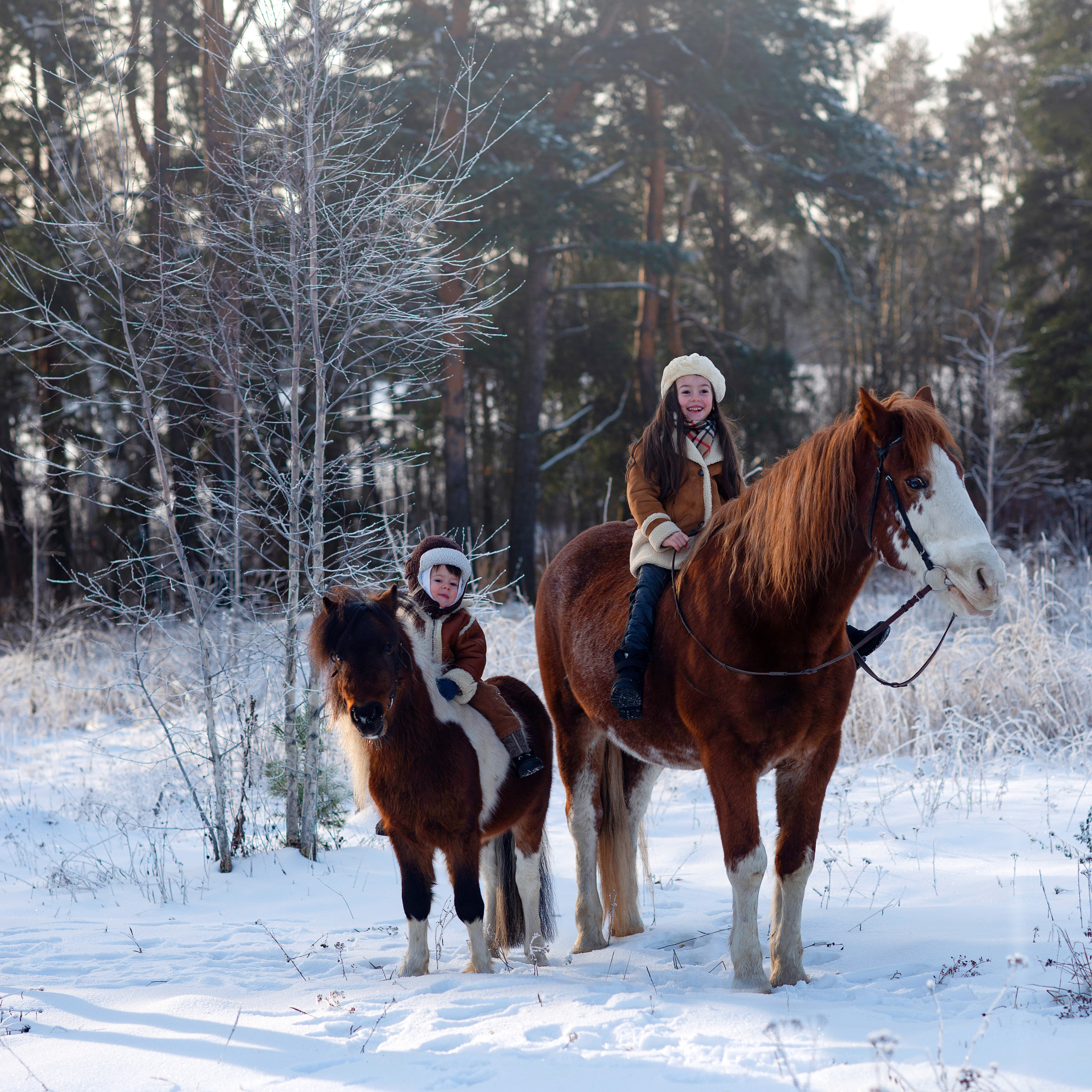 Всадники. Фотограф Альбина Вакунова