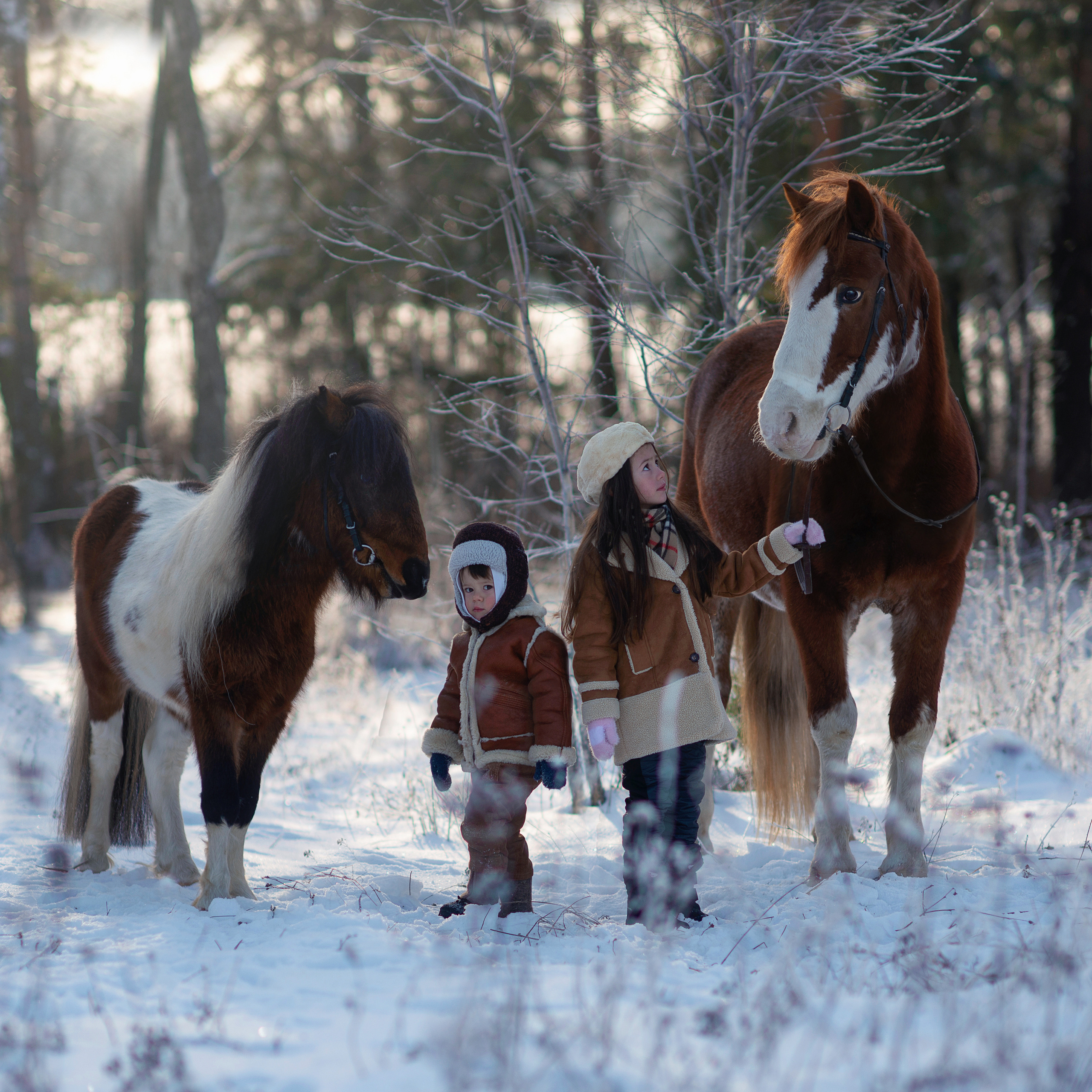 Всадники. Фотограф Альбина Вакунова