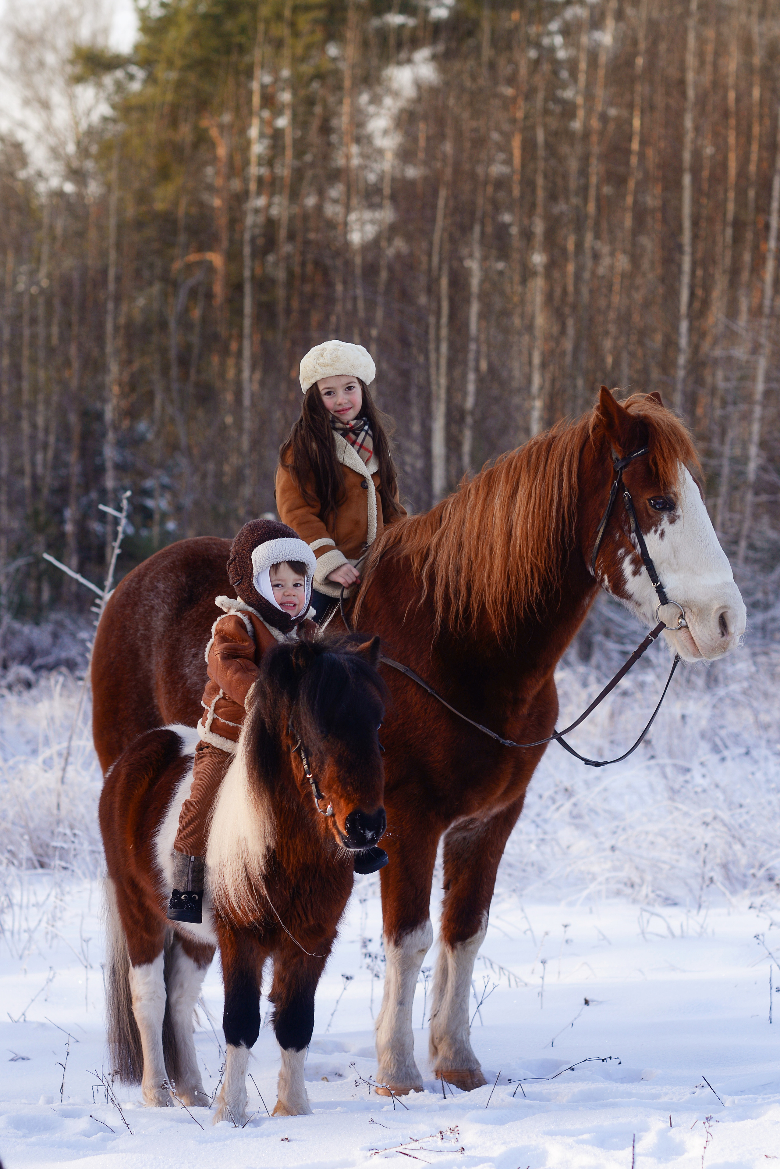 Всадники. Фотограф Альбина Вакунова