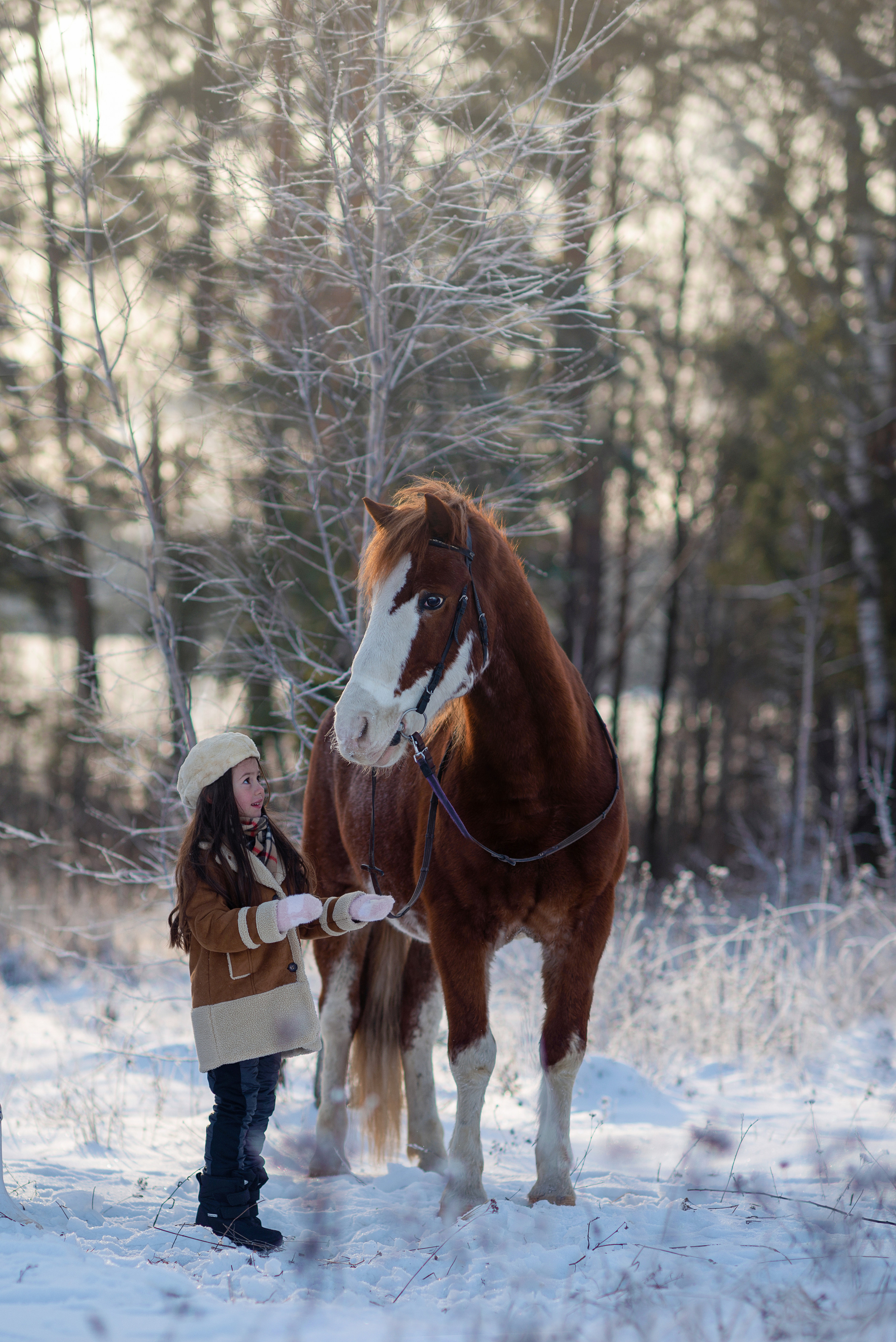 Всадники. Фотограф Альбина Вакунова