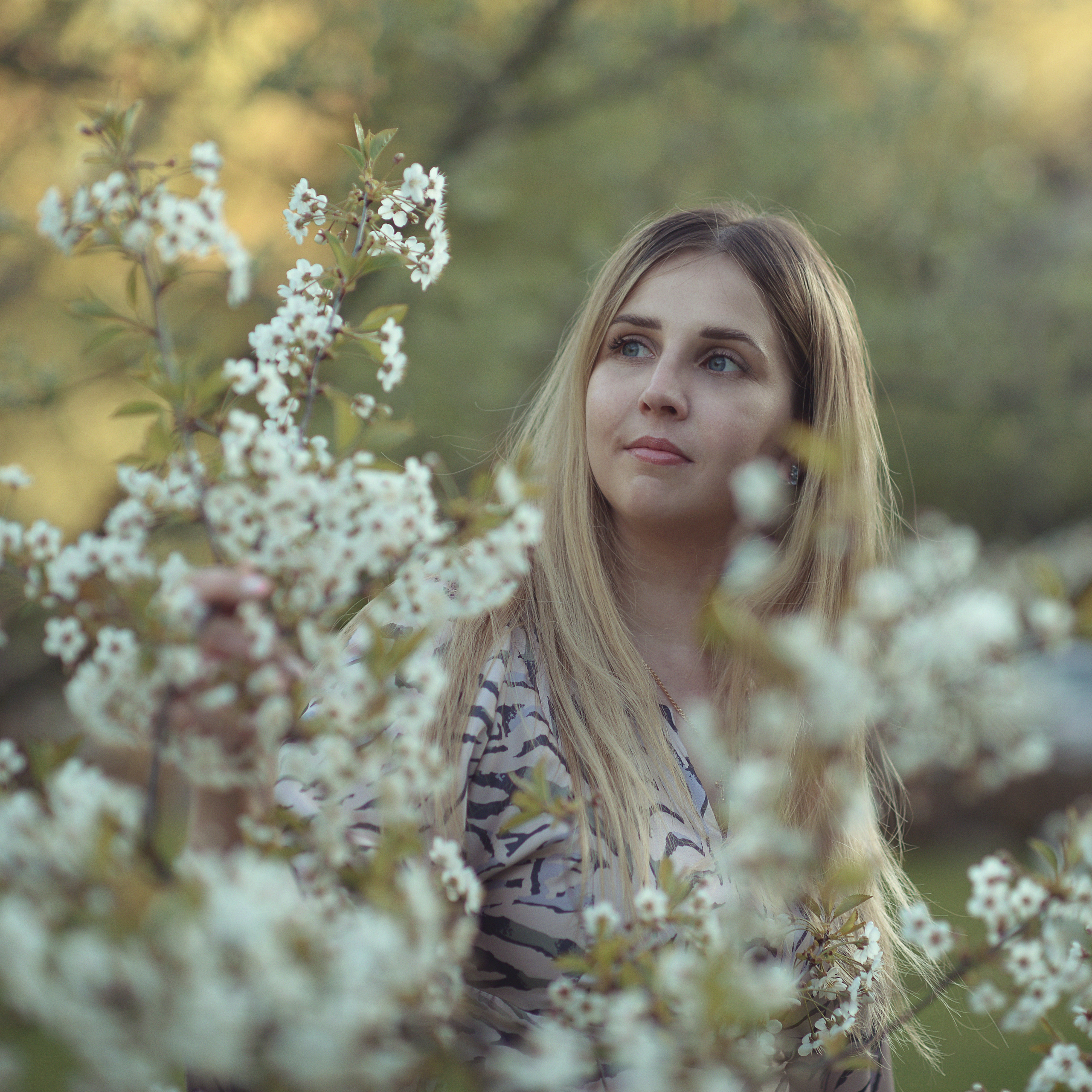 Цветение весной. Фотограф Альбина Вакунова