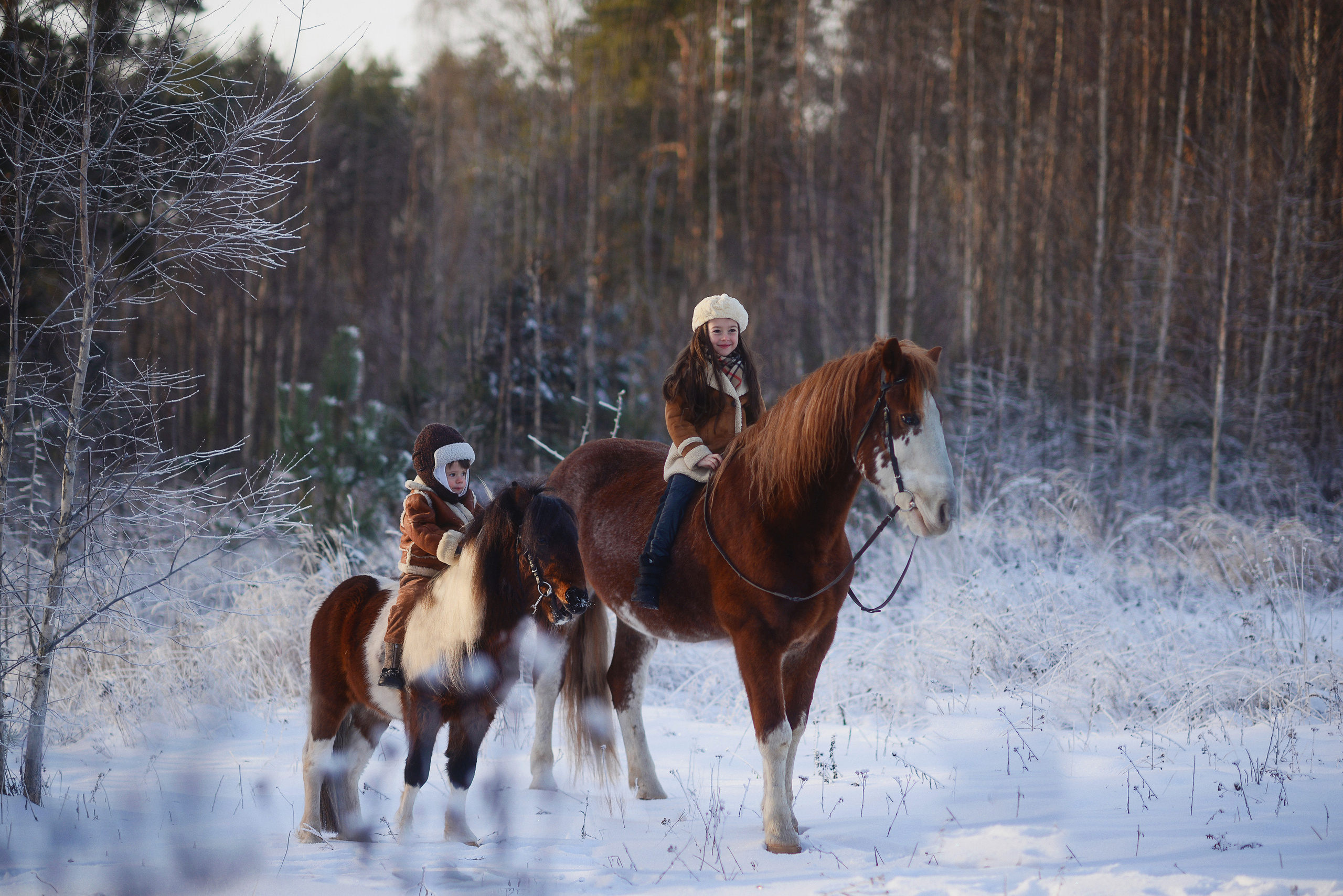 Всадники. Фотограф Альбина Вакунова