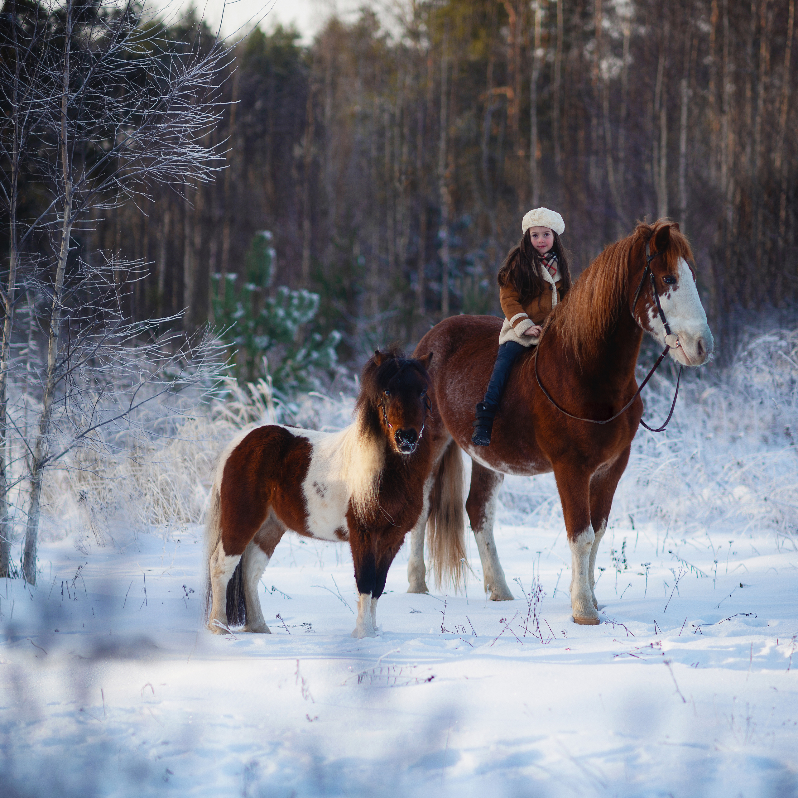 Всадники. Фотограф Альбина Вакунова