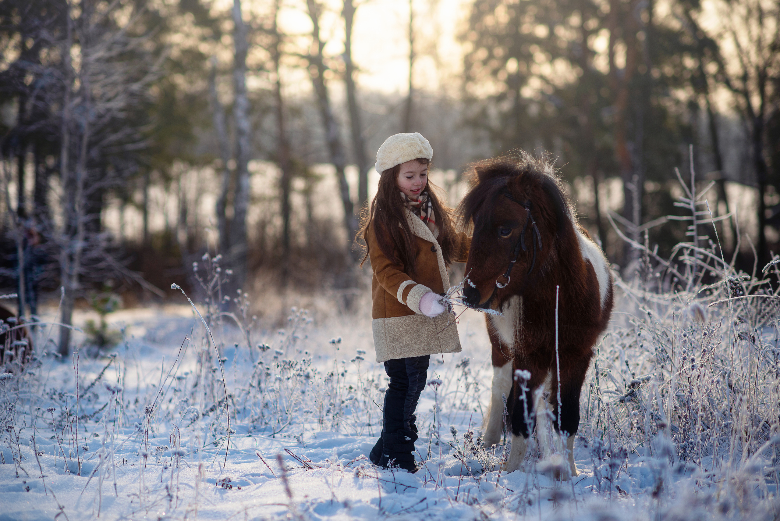 Всадники. Фотограф Альбина Вакунова