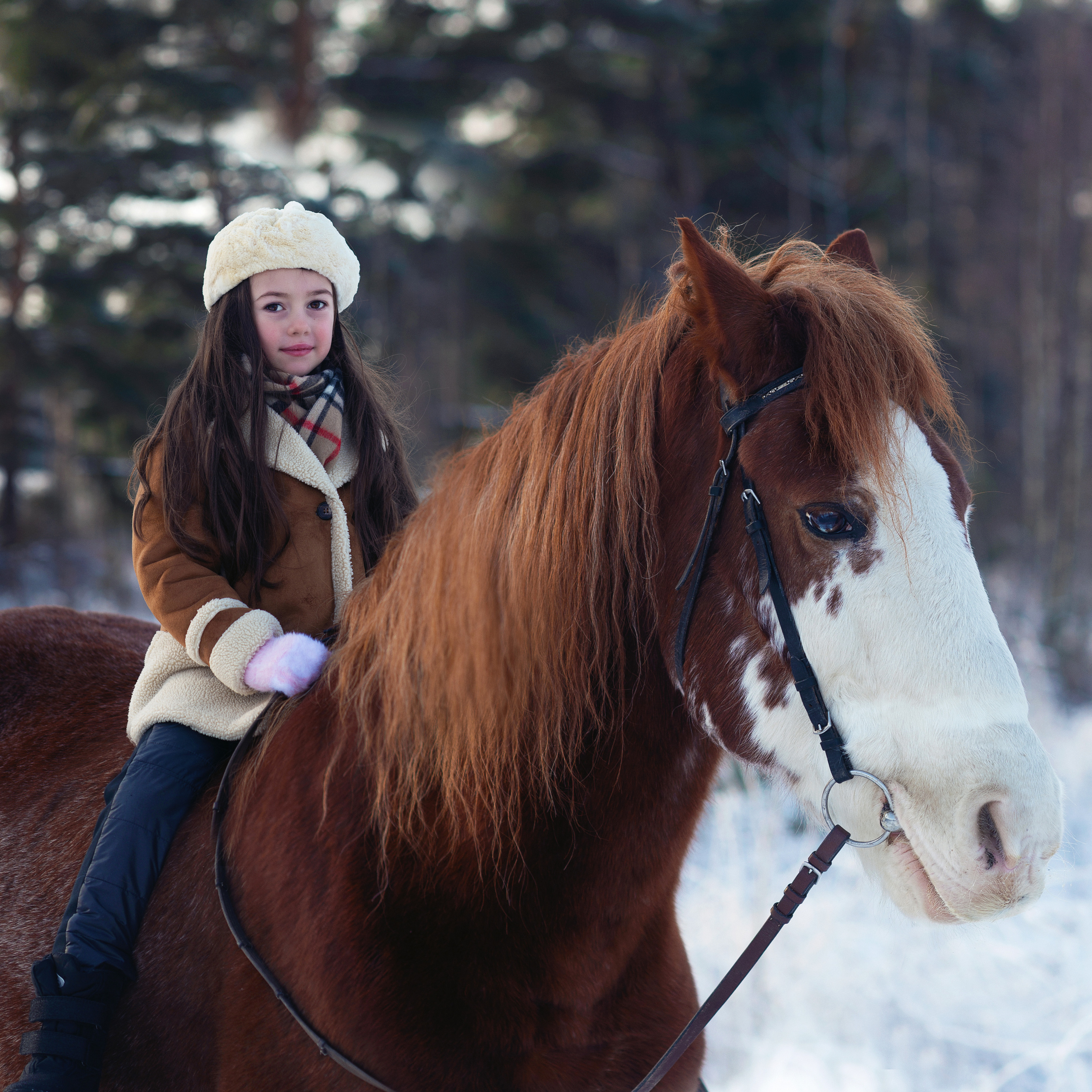 Всадники. Фотограф Альбина Вакунова