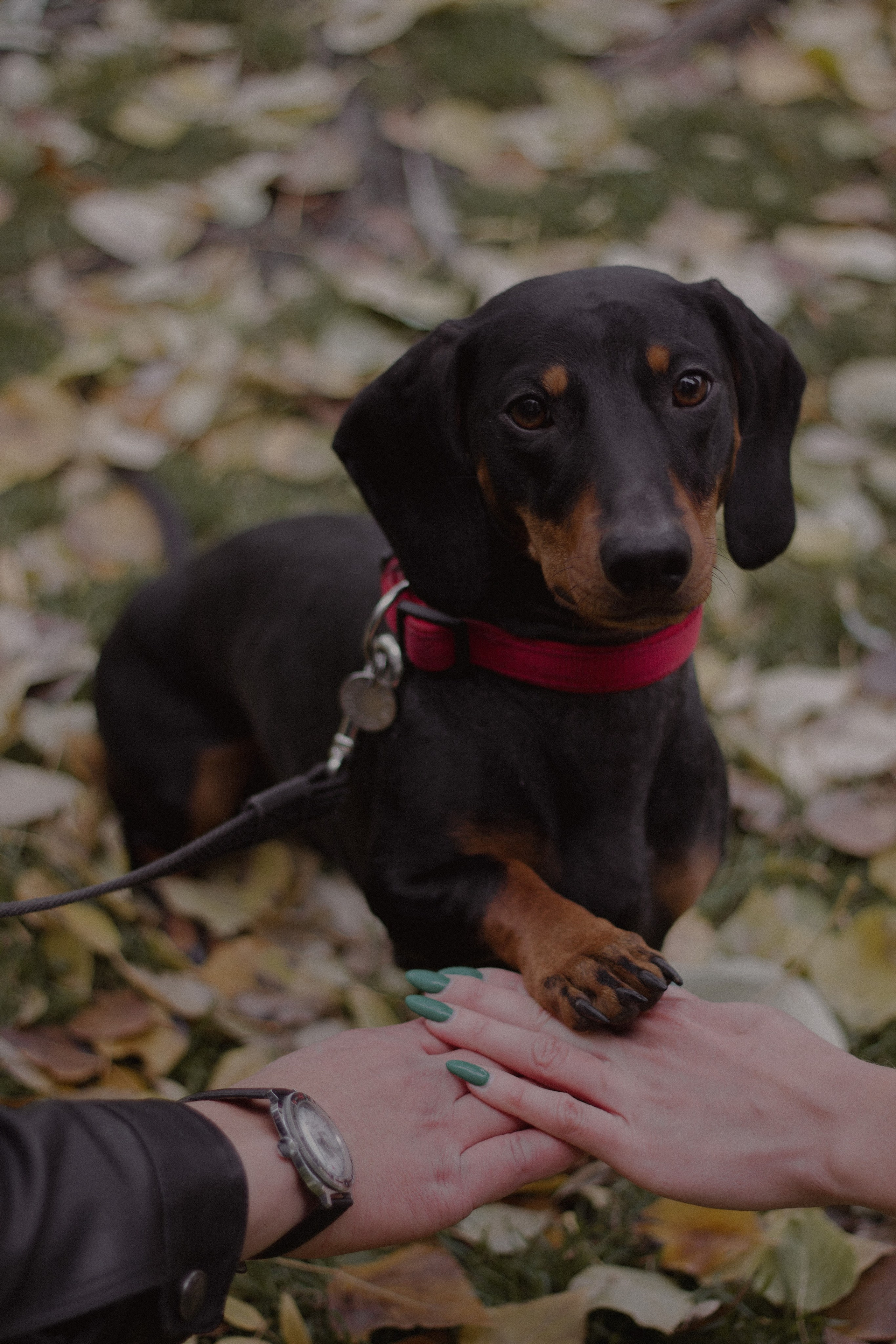 LOVE STORY. Фотограф Ожерельева Ольга. Love story · Portraits · Individual photoshoot
