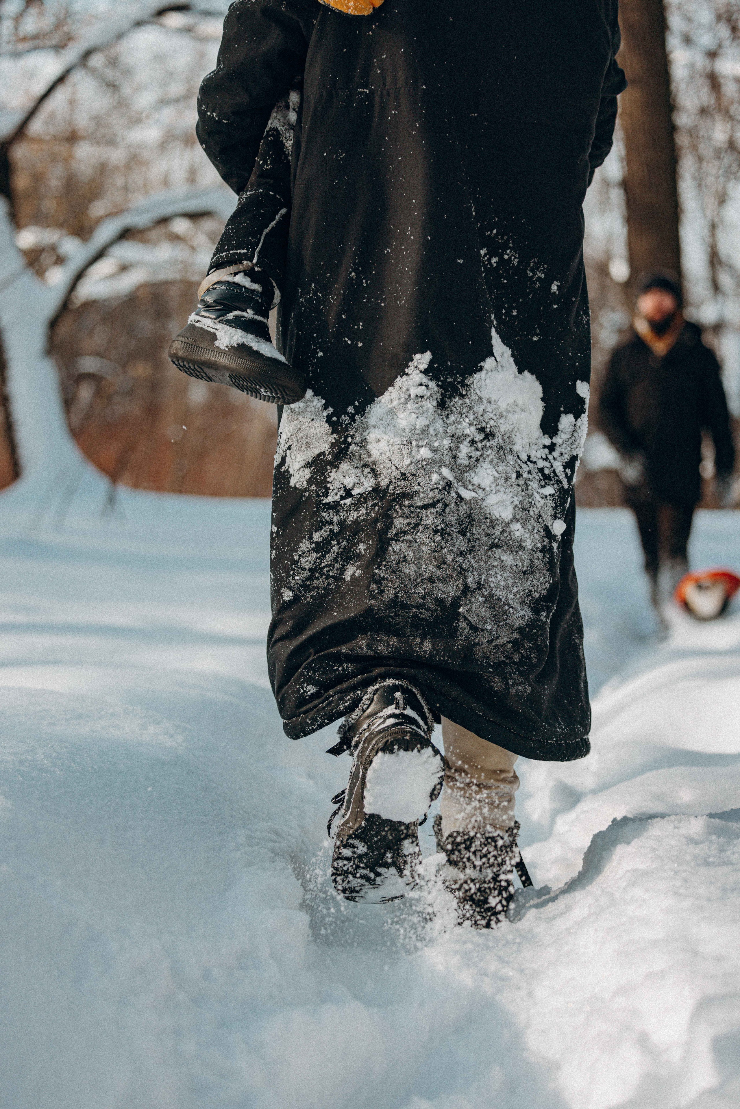 Свобода и ее семья. Фотограф-анималист в Москве Лера Черноног