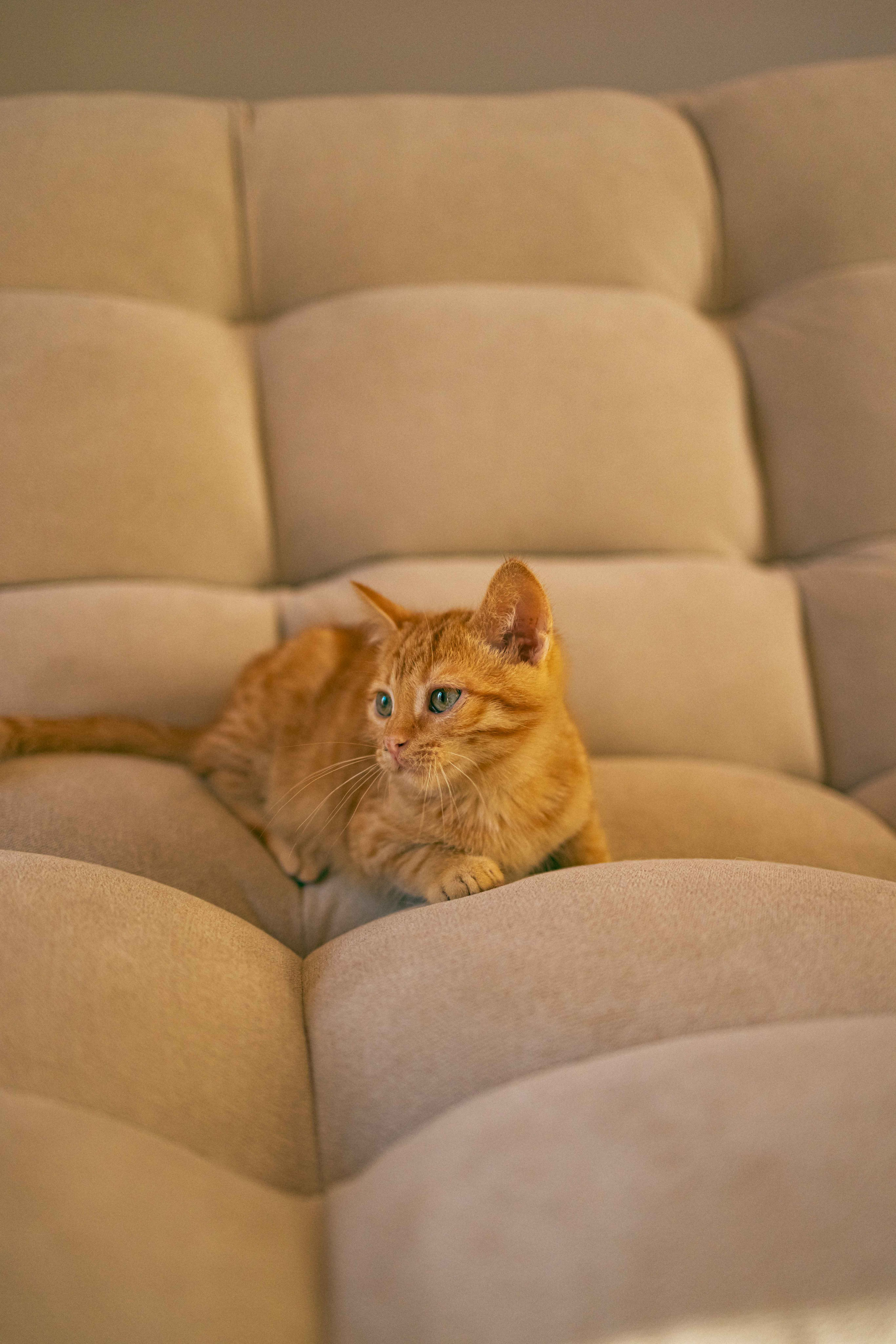 Кускус. Фотограф-анималист в Москве Лера Черноног