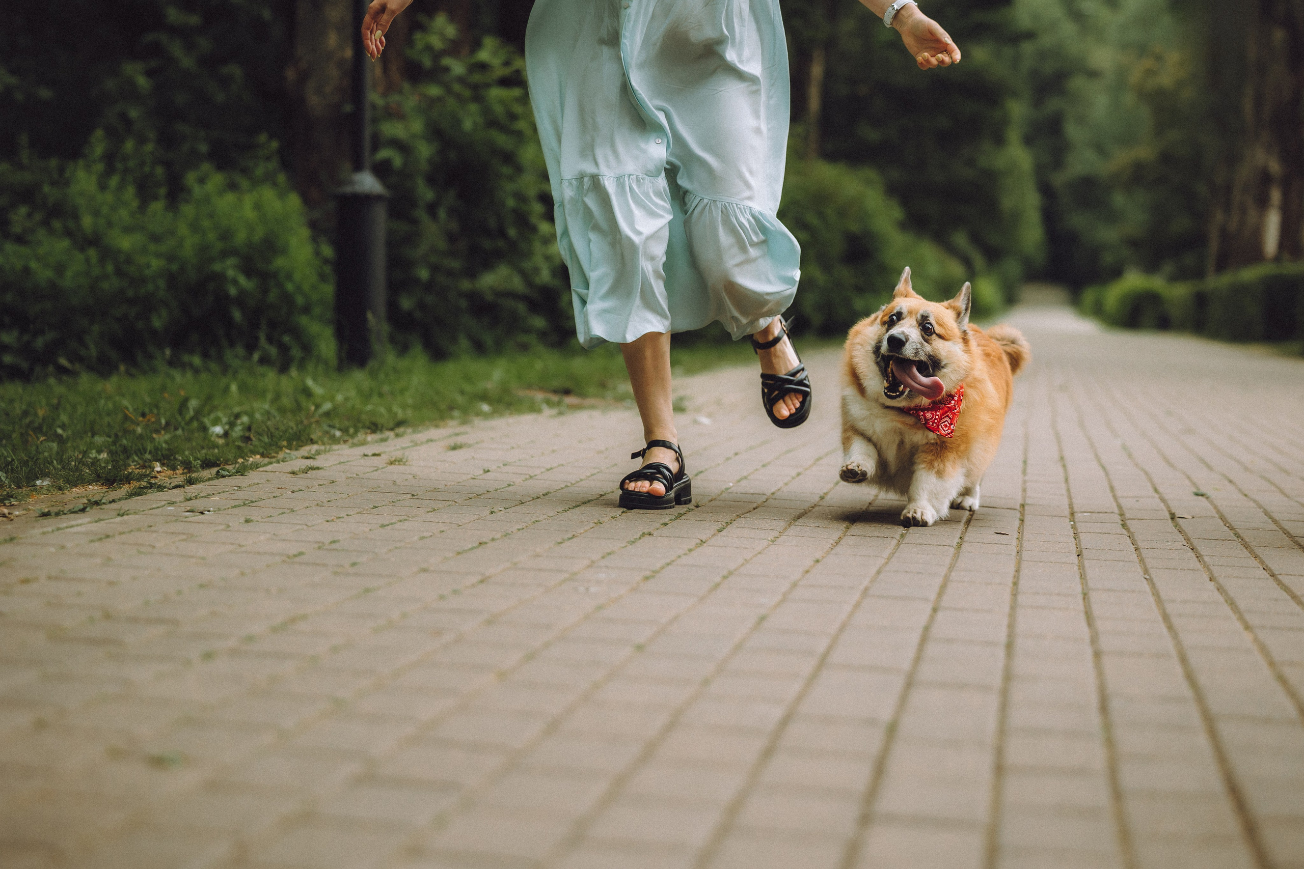 Ира, Леша и Харли