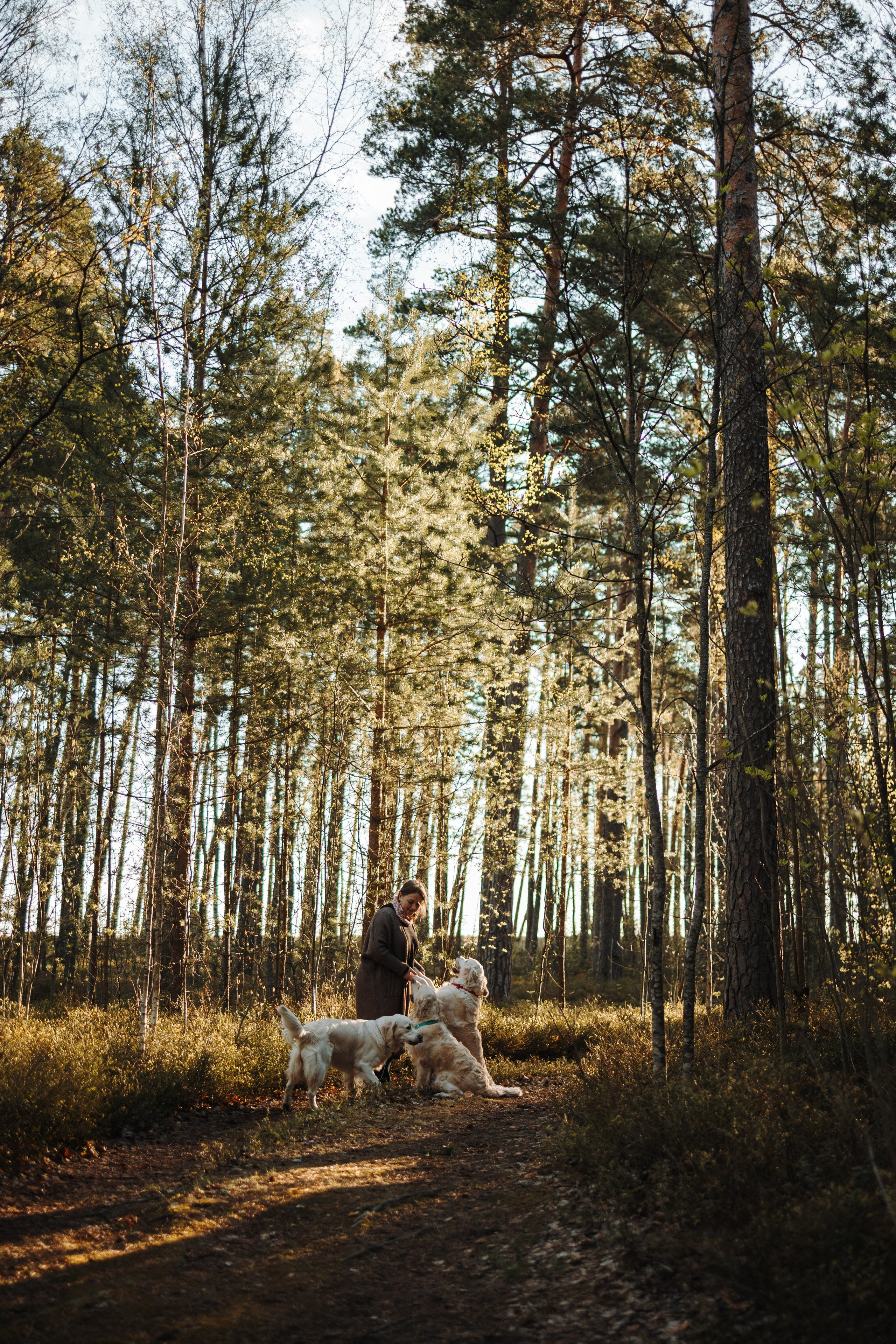 Катя и ее девочки. Фотограф — Анималист | Санкт-Петербург