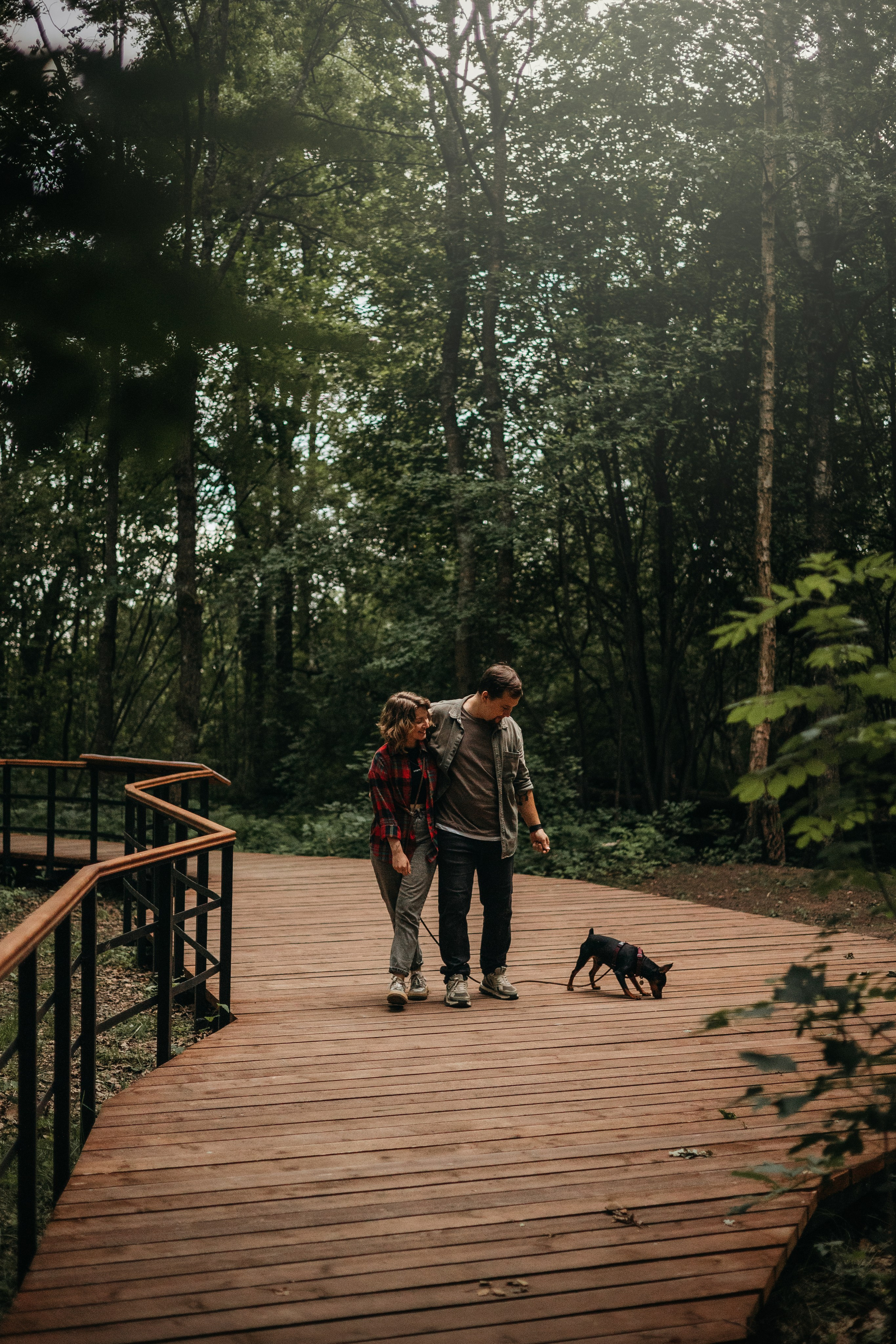 Сириус и его семья. Фотограф — Анималист | Санкт-Петербург
