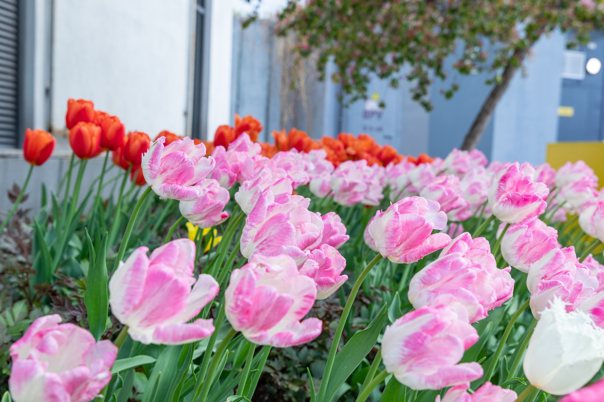 Вход в Московский зоопарк. Фотограф Ольга Эмбер
