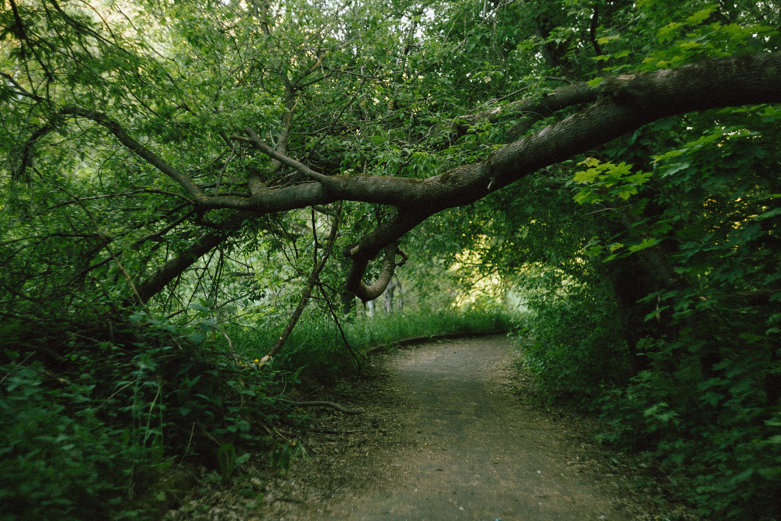 Егор. Леонид Рябов — фотограф в Нижнем Новгороде