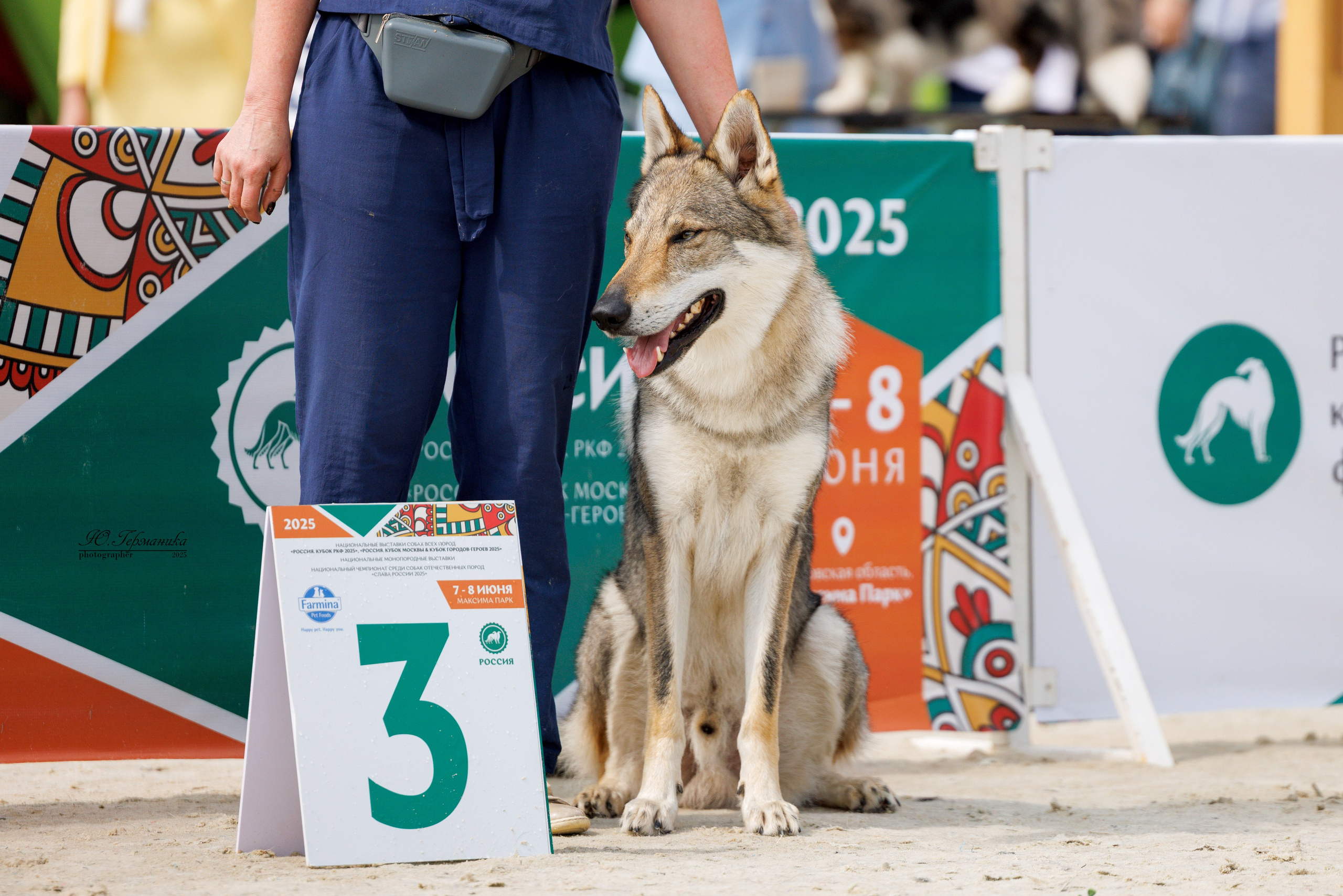 РОССИЯ 7-8.06.2025. Фотограф-анималист Юлия Германика