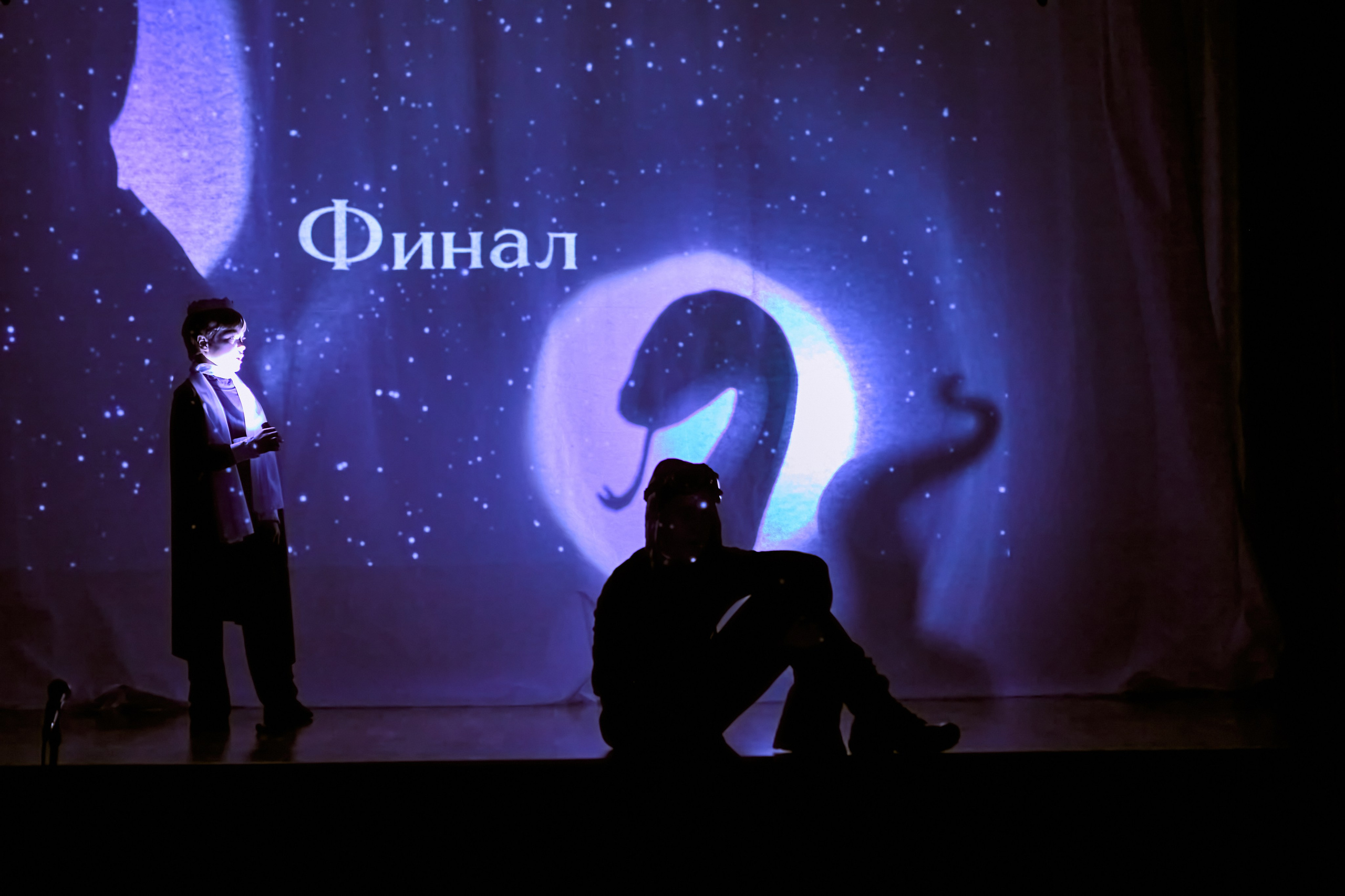 Фотографии с премьеры Маленький принц