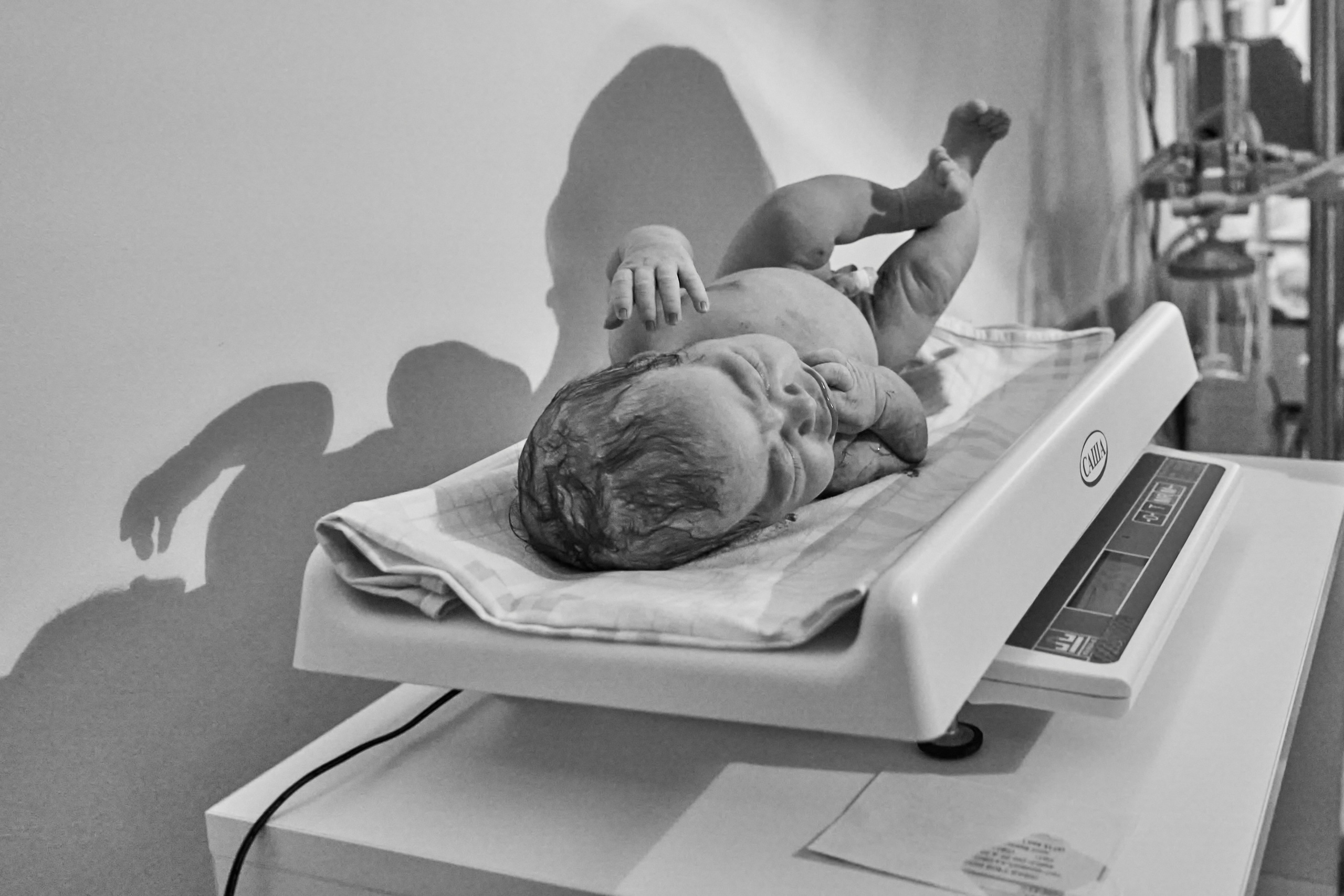 Февральское явление. Дзешульская, фотограф