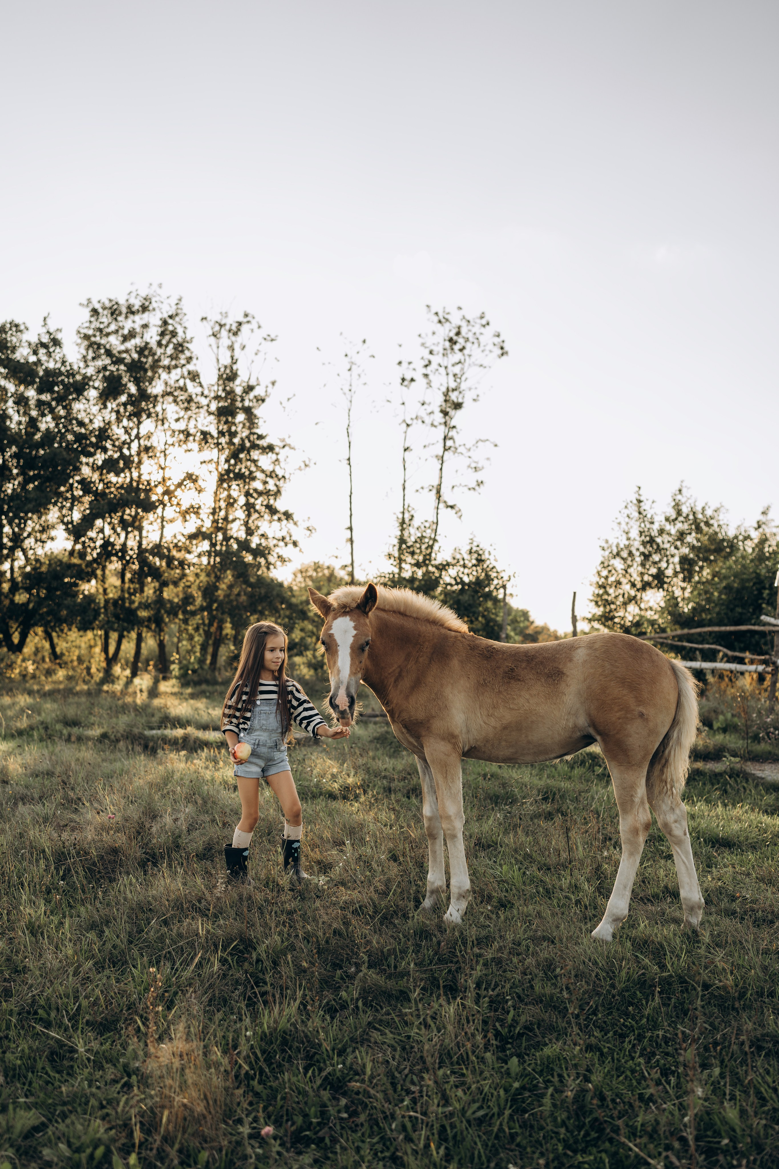 Детство, лошади, природа. Семейный фотограф Москва. Фотограф беременности и материнства Москва